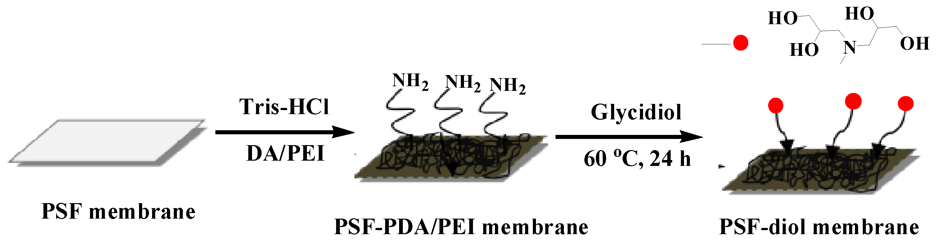 Polymers 11 00780 g001