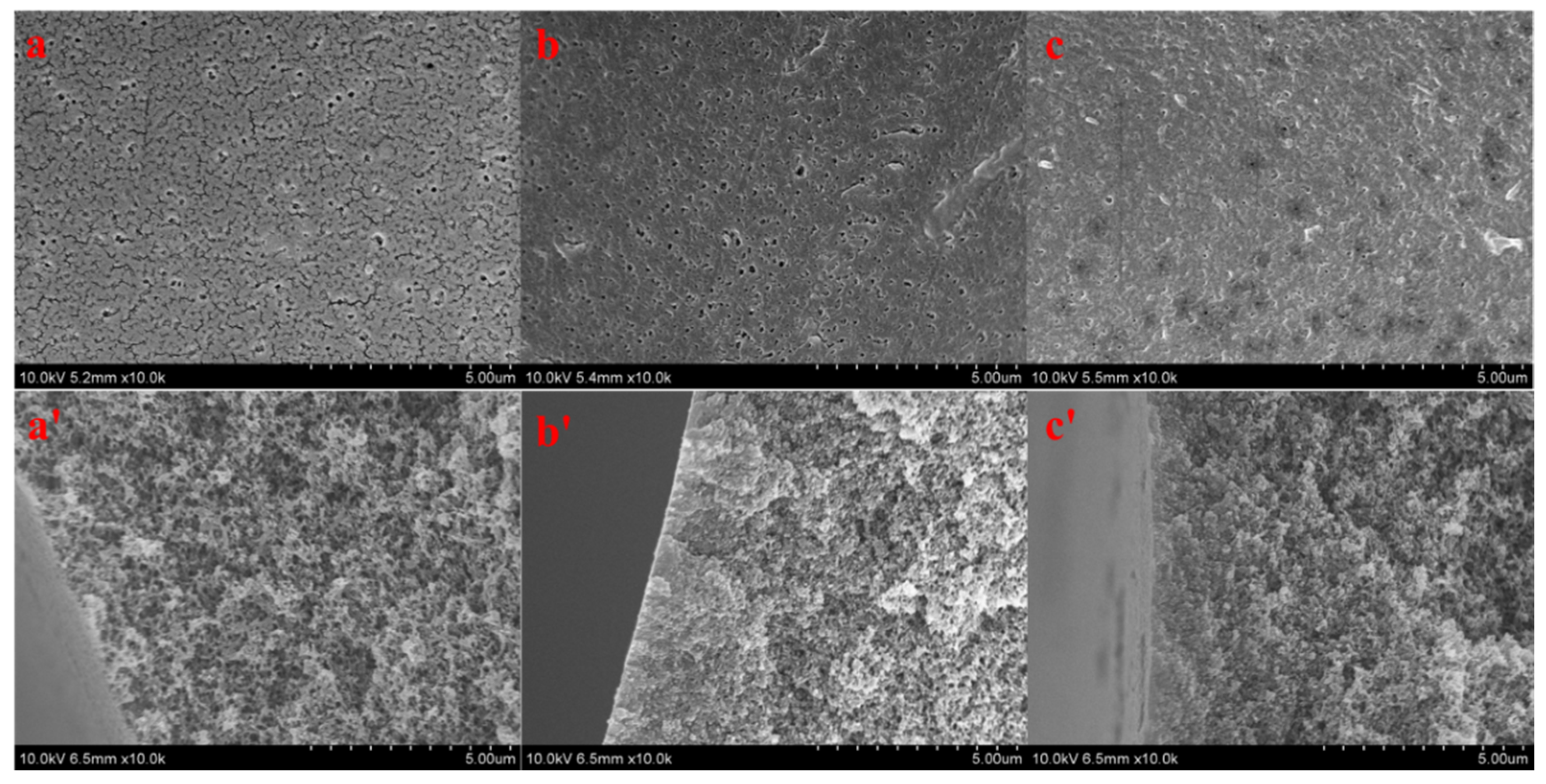Polymers 11 00780 g006