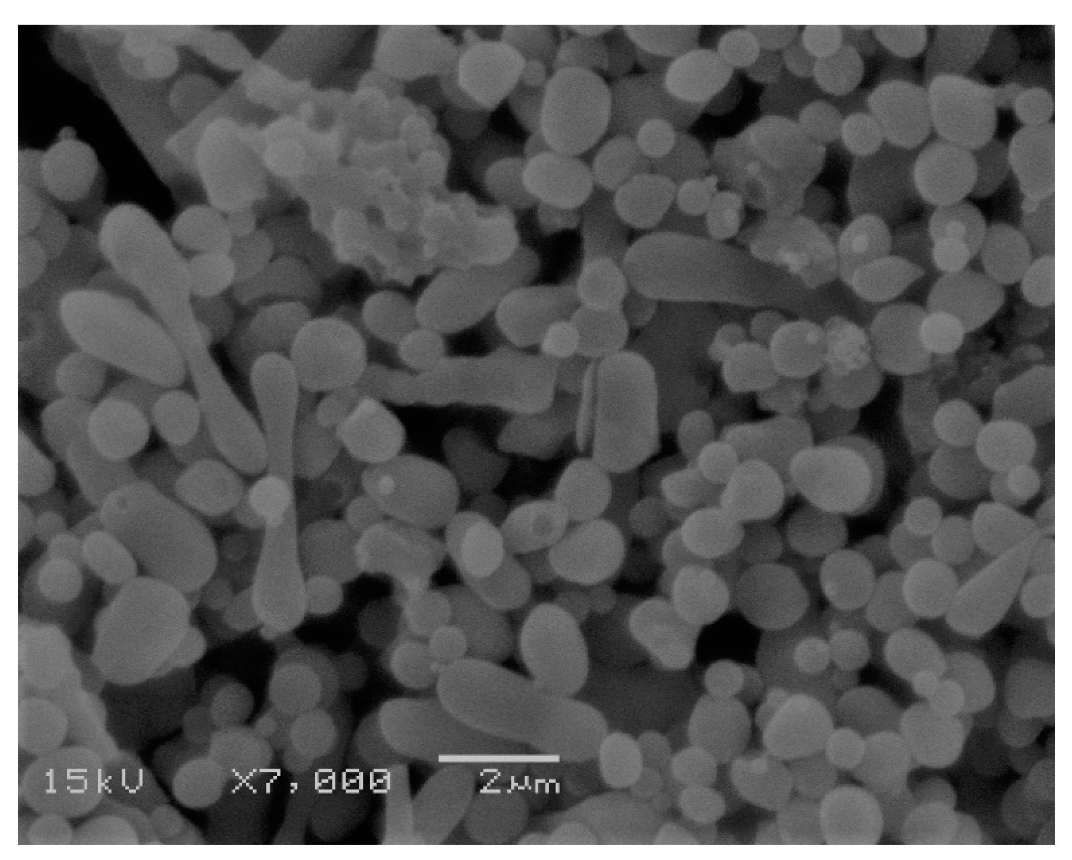 Polymers 11 00789 g006 Polymers 11 00789 g006