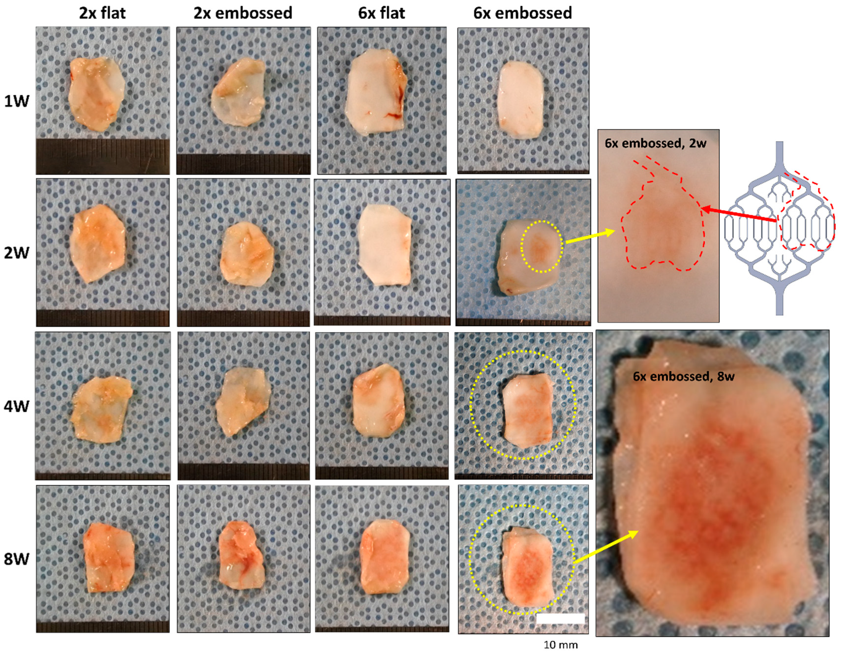Polymers 11 00792 g003 Polymers 11 00792 g003