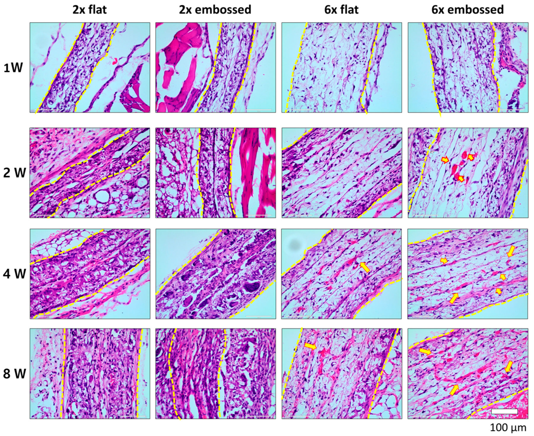 Polymers 11 00792 g004 Polymers 11 00792 g004