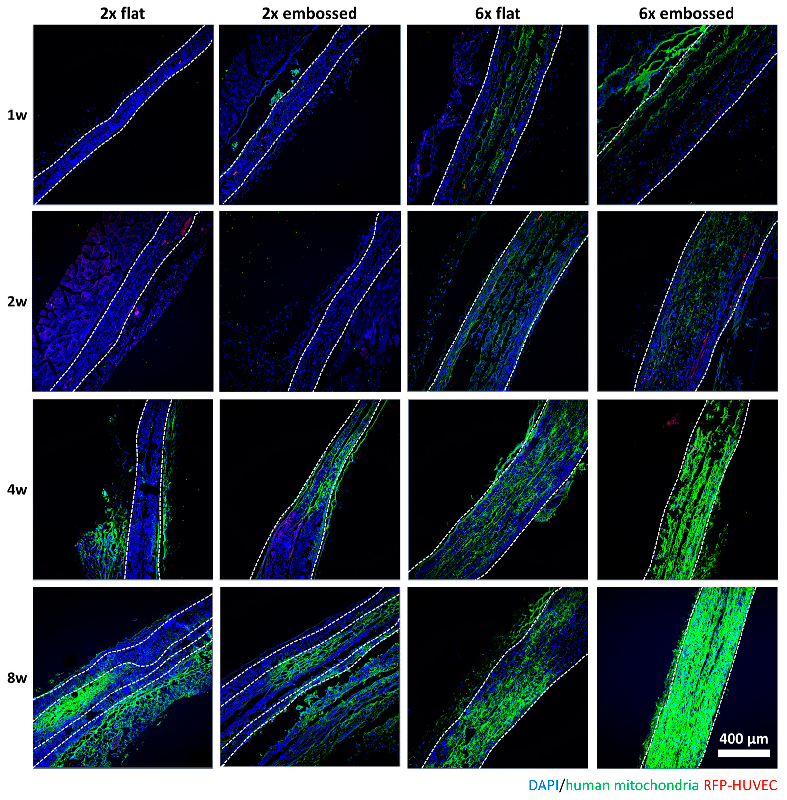 Polymers 11 00792 g005 Polymers 11 00792 g005