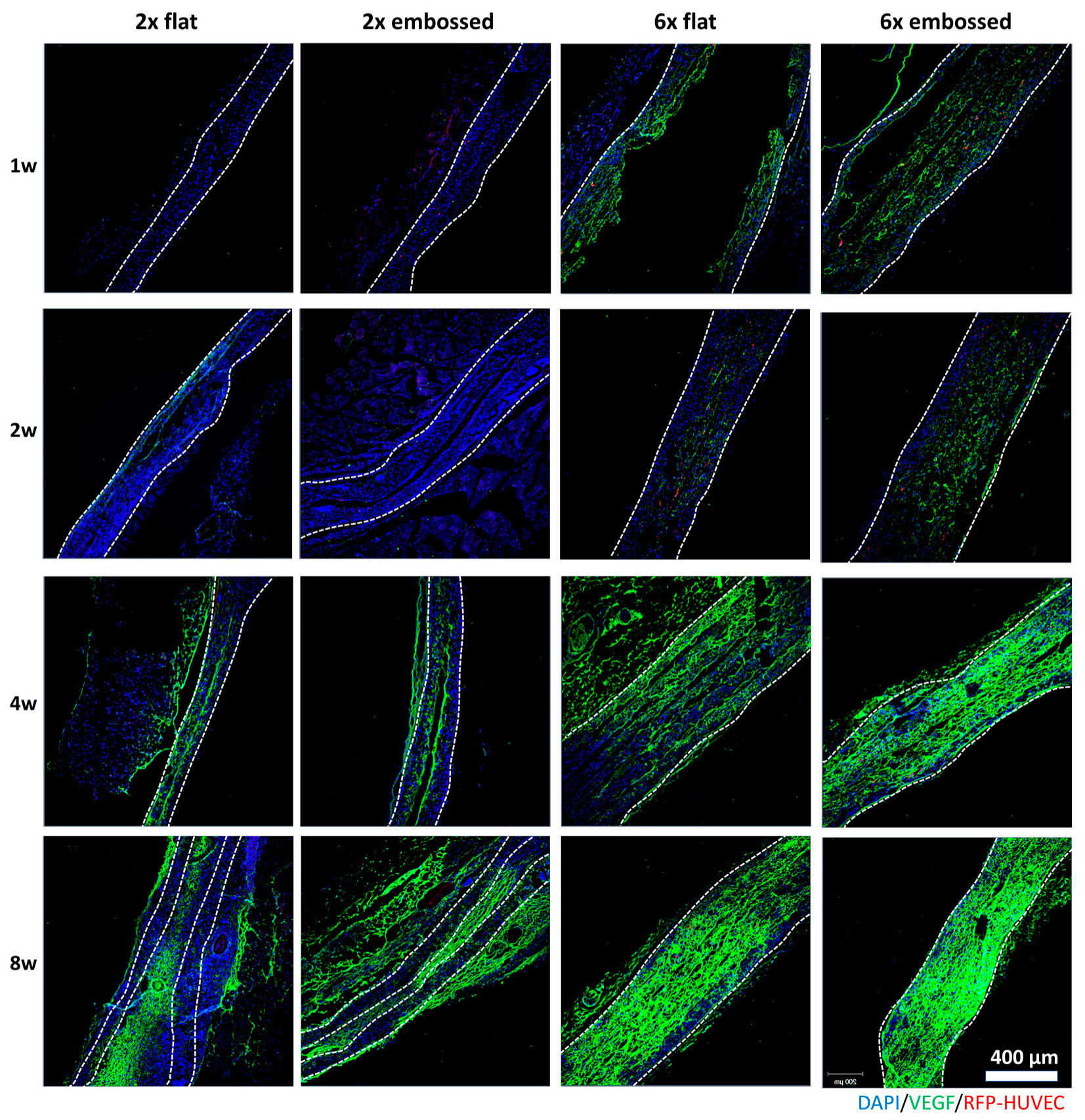 Polymers 11 00792 g006 Polymers 11 00792 g006