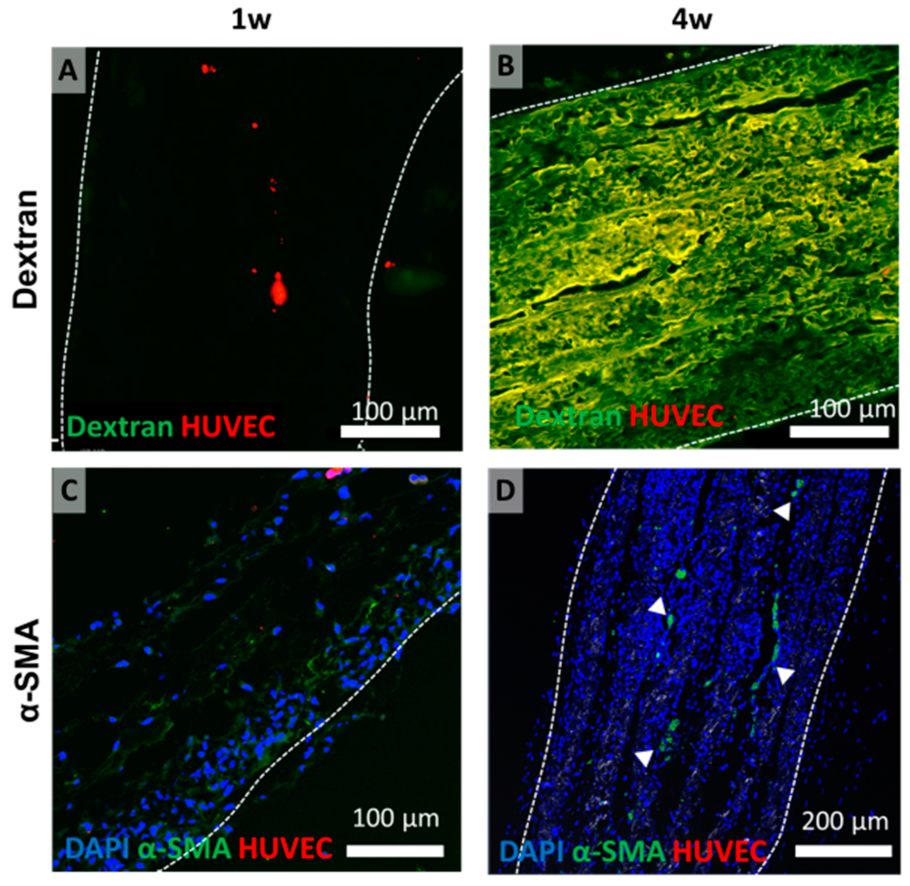 Polymers 11 00792 g008 Polymers 11 00792 g008