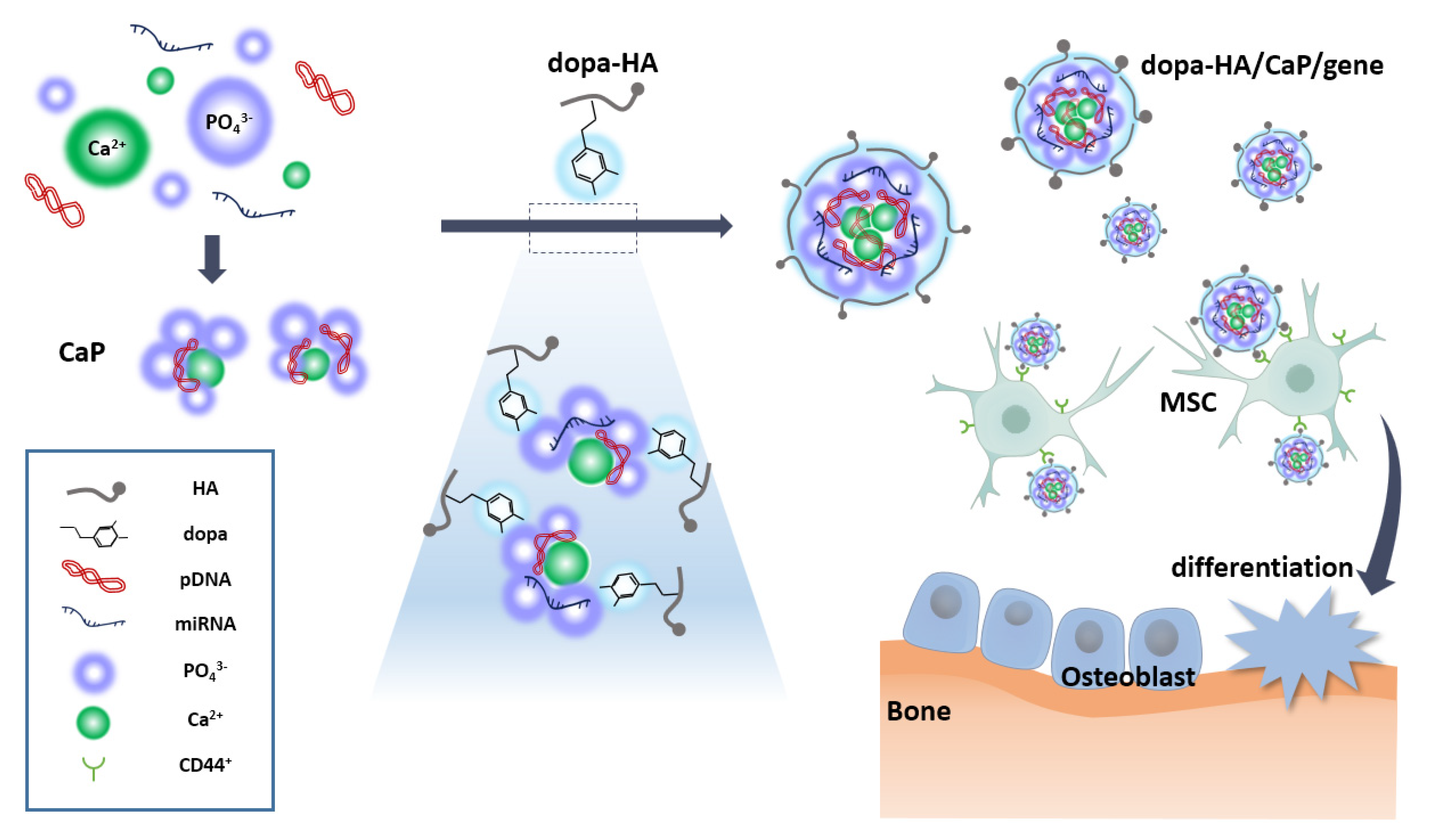 Polymers 11 00798 sch001 Polymers 11 00798 sch001