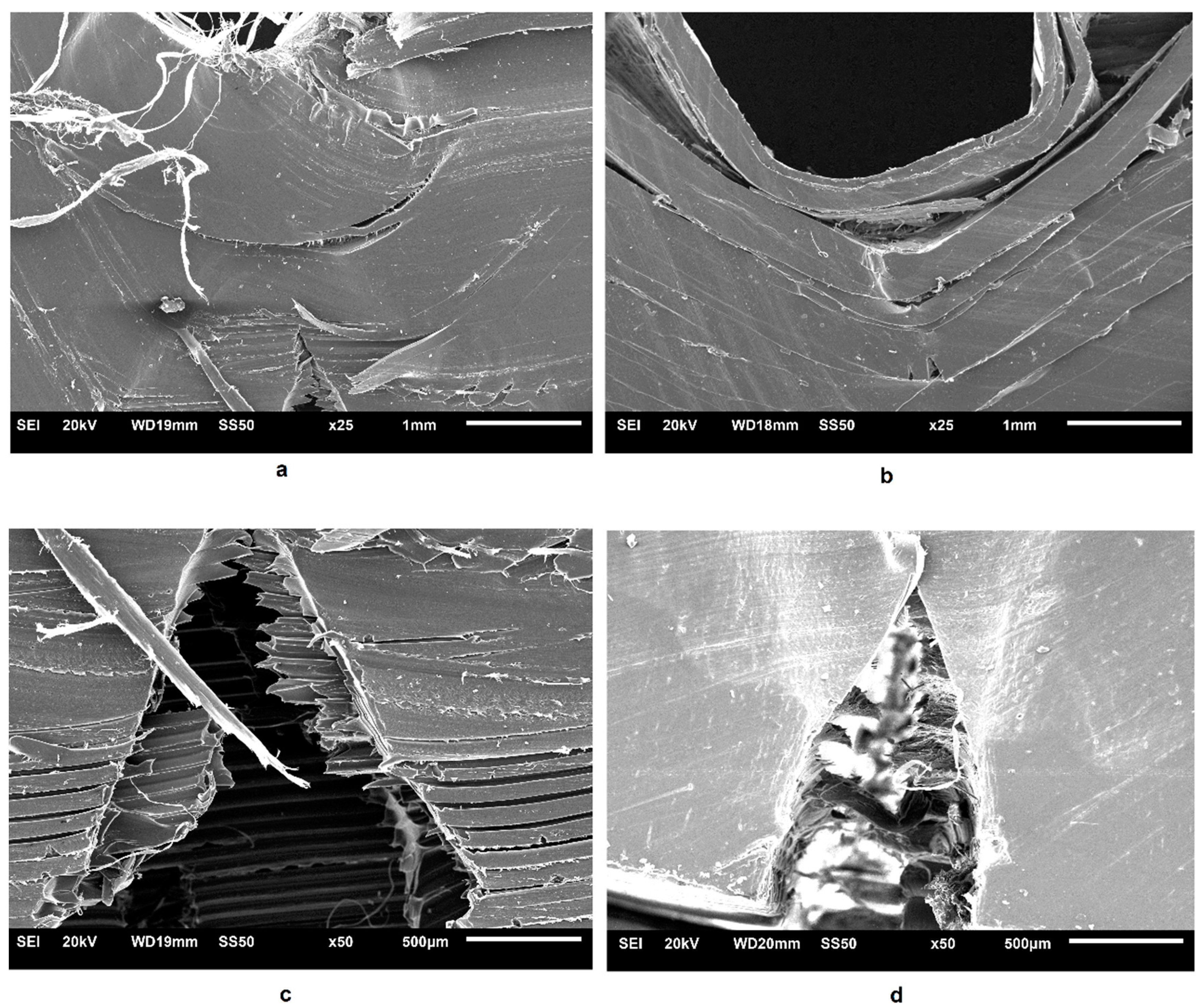 Polymers 11 00799 g007 Polymers 11 00799 g007
