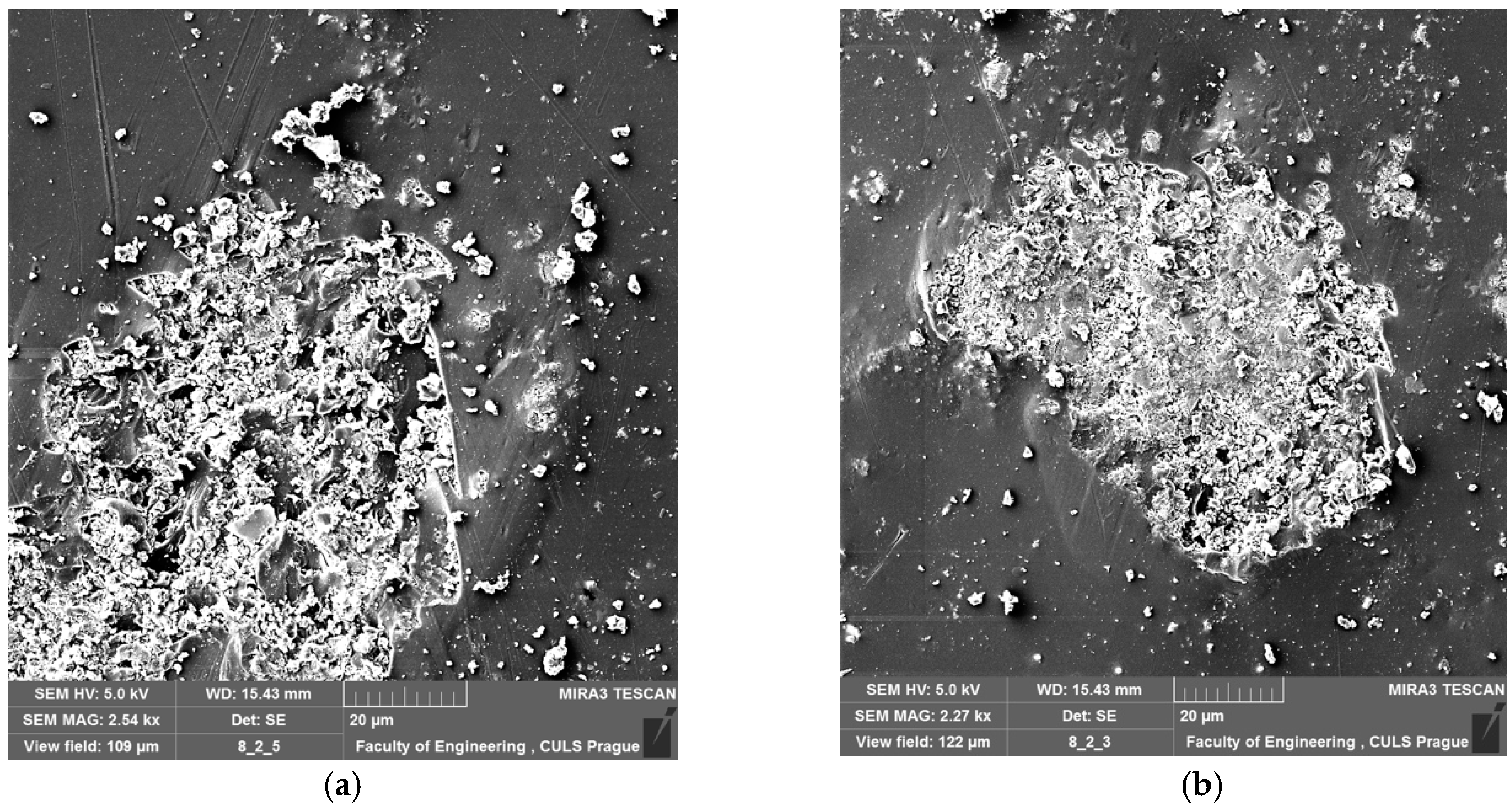 Polymers 11 00804 g002