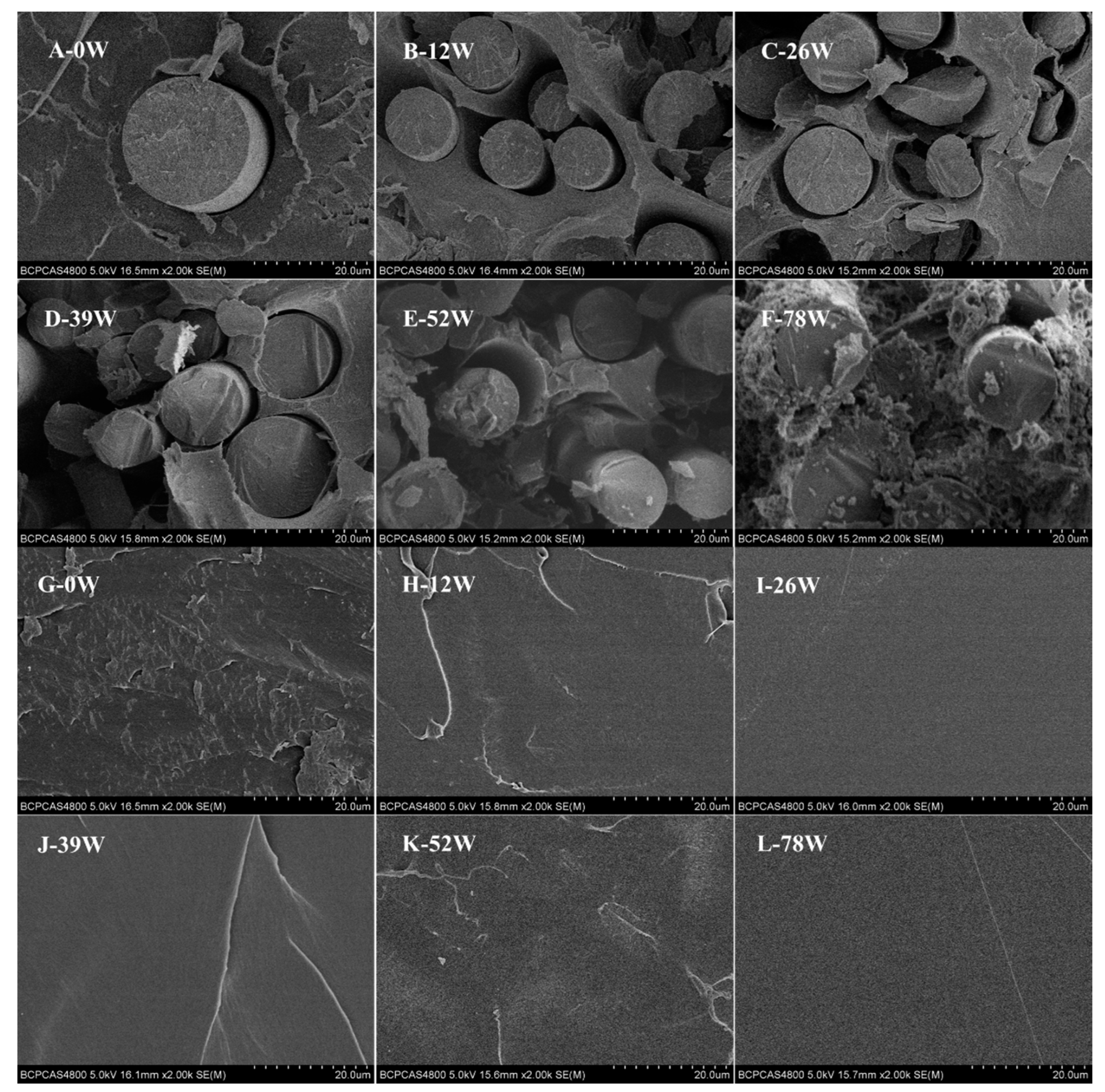 Polymers 11 00812 g002
