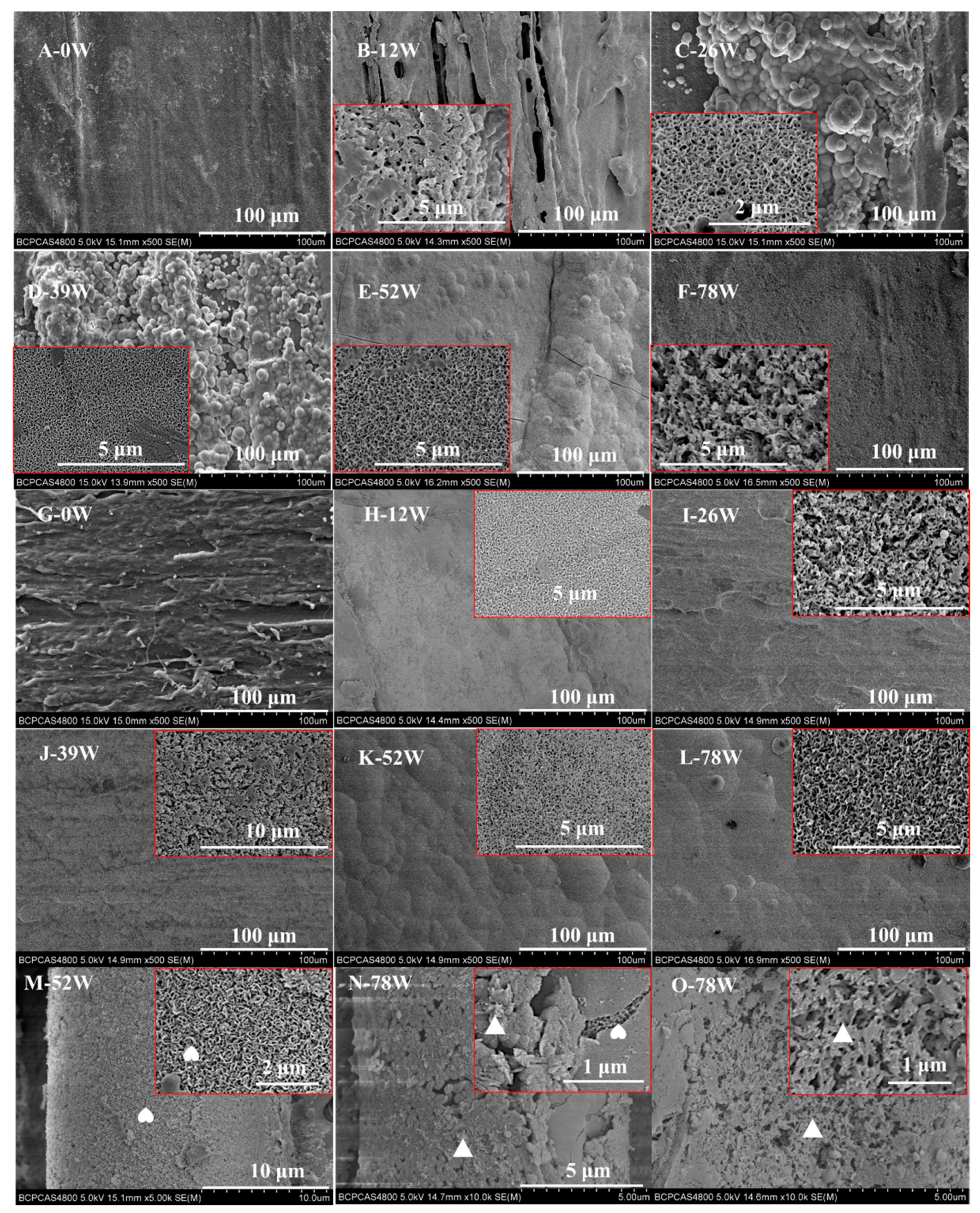 Polymers 11 00812 g004
