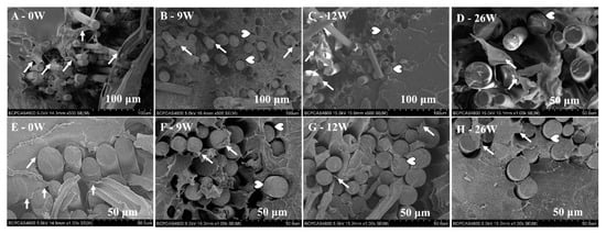 Polymers 11 00812 g0a2 550