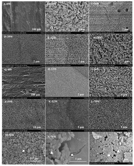 Polymers 11 00812 g0a3 550