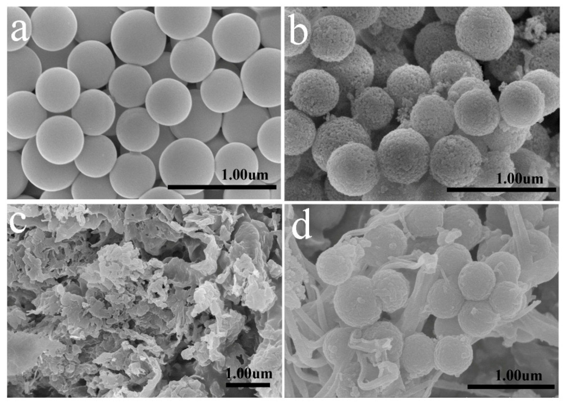 Polymers 11 00815 g003 Polymers 11 00815 g003