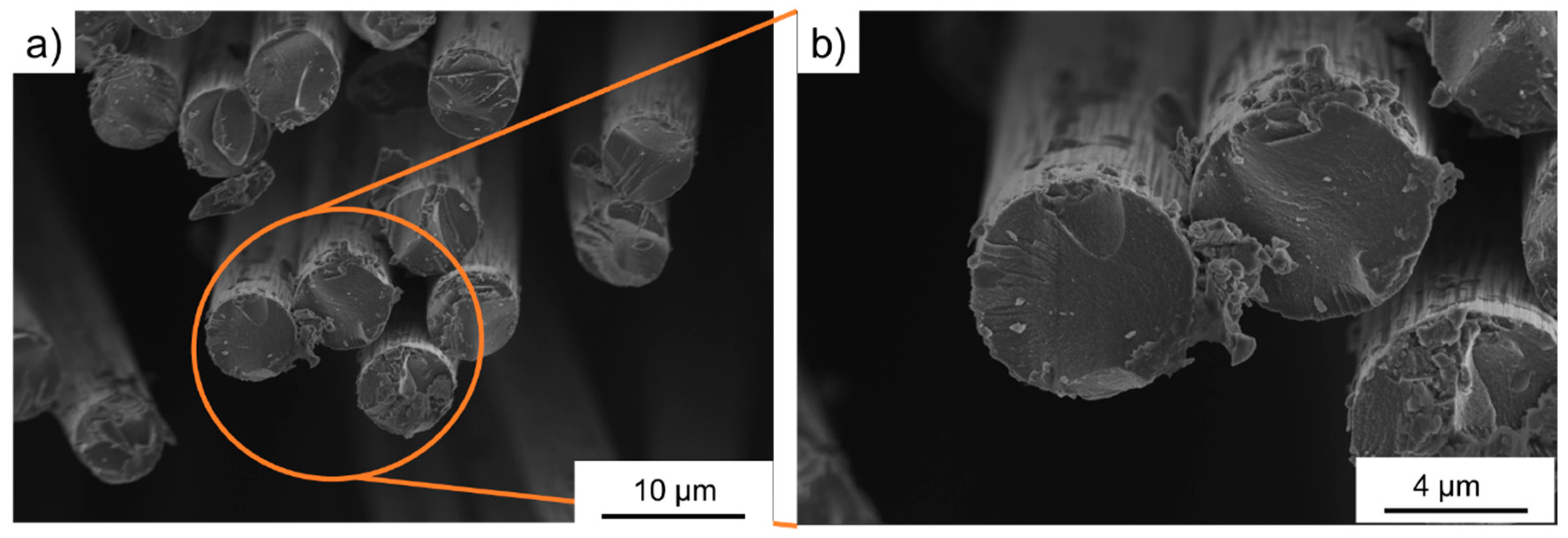 Polymers 11 00823 g001