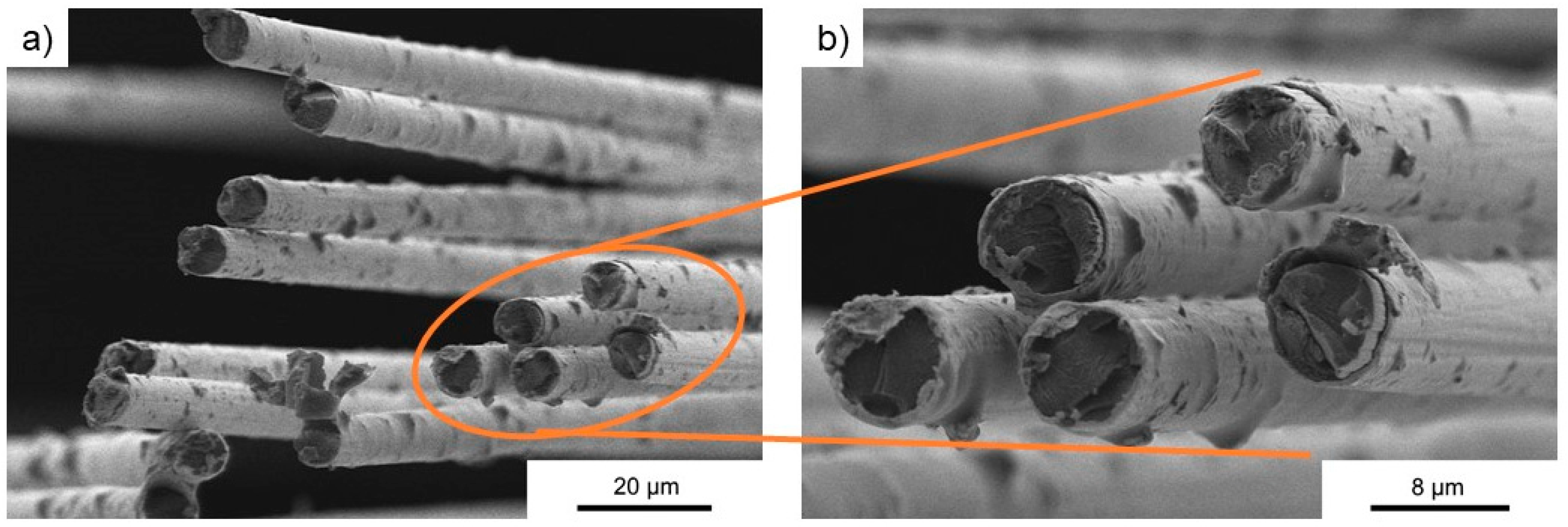 Polymers 11 00823 g002