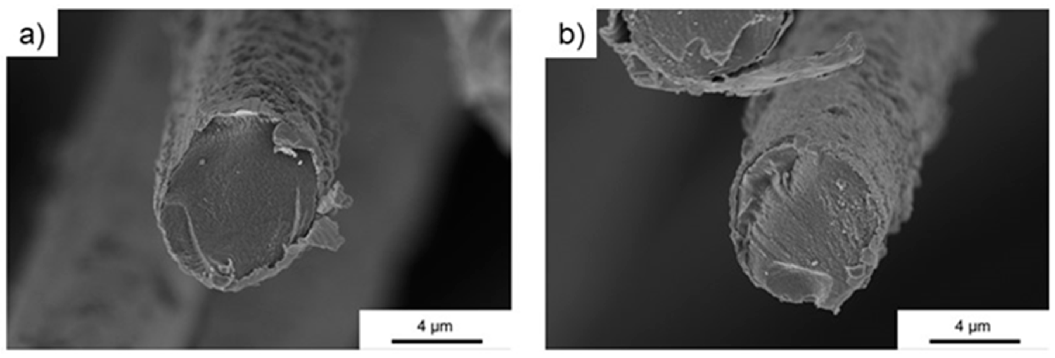 Polymers 11 00823 g003
