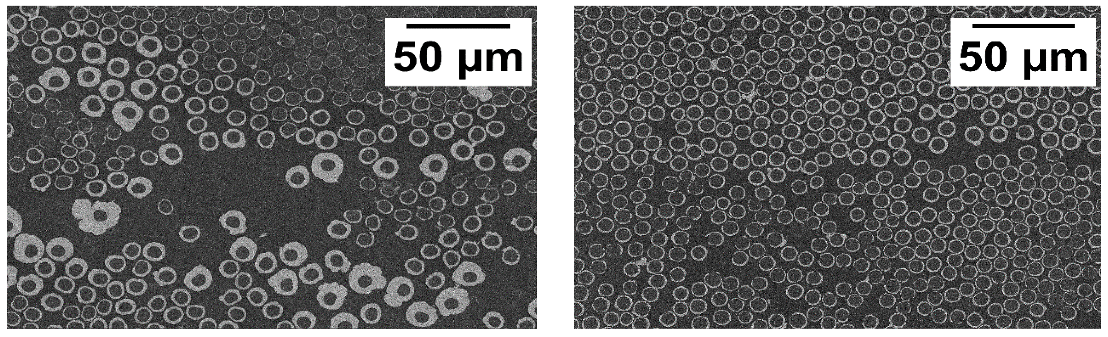 Polymers 11 00823 g004