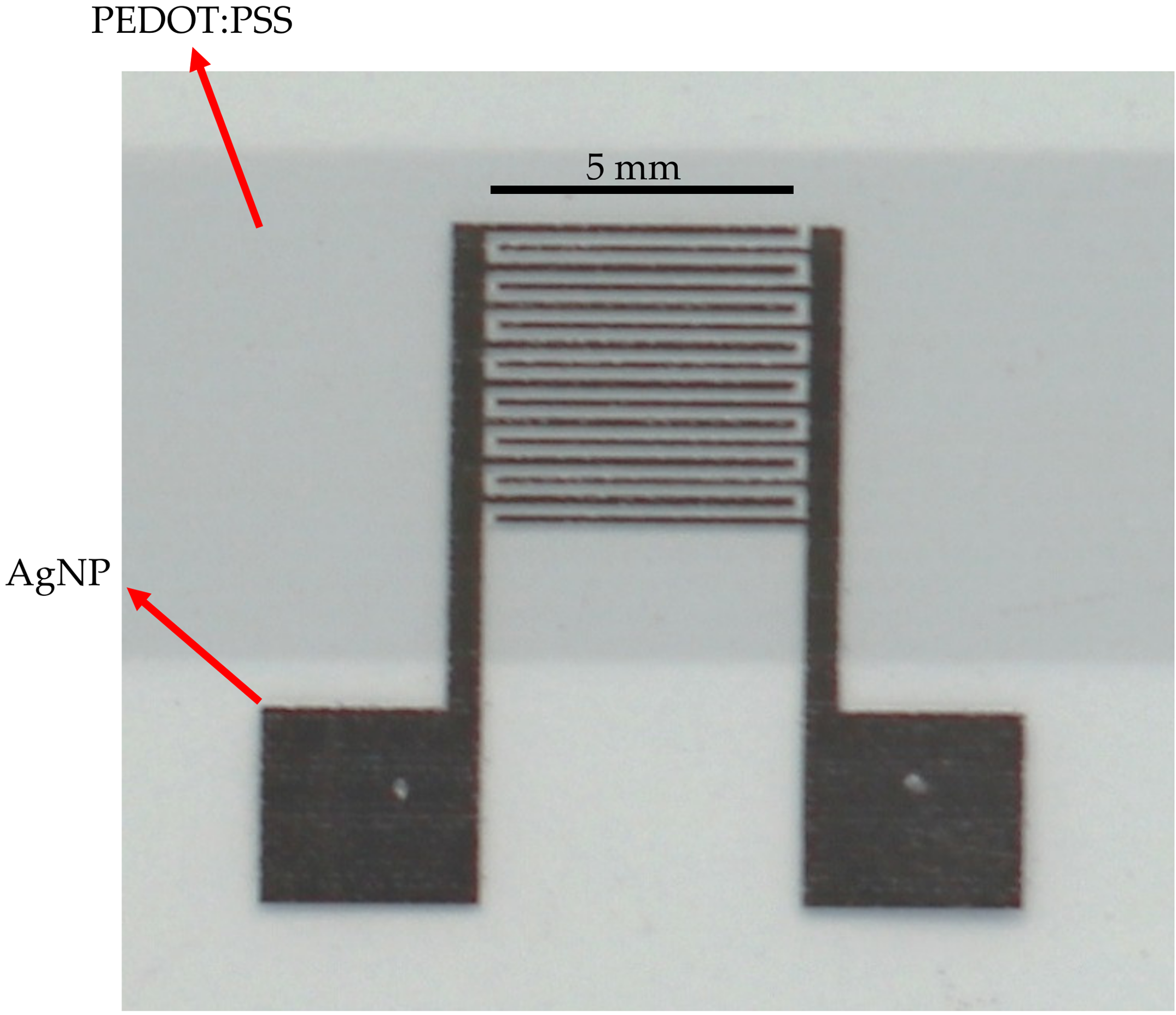 Polymers 11 00824 g001