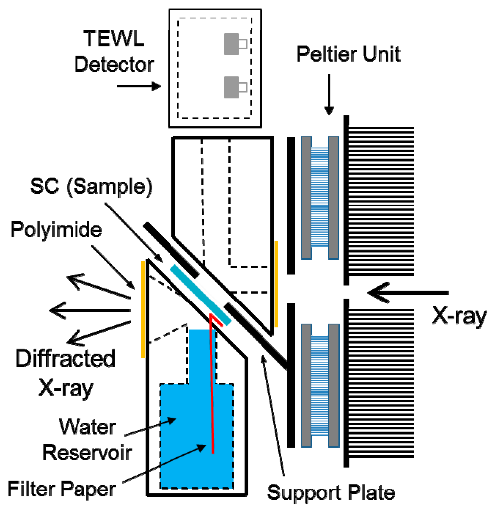 Polymers 11 00829 g001