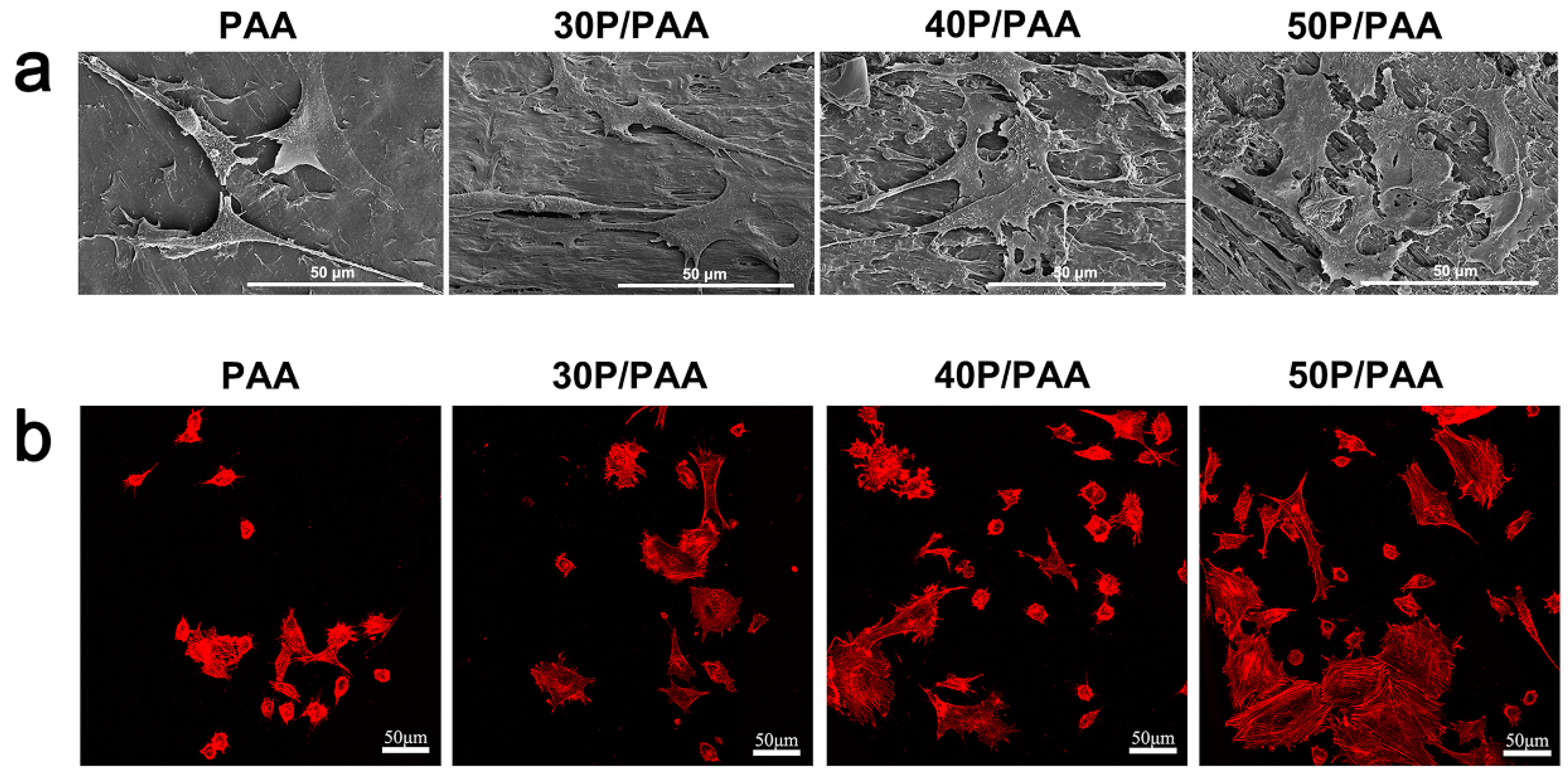 Polymers 11 00831 g008