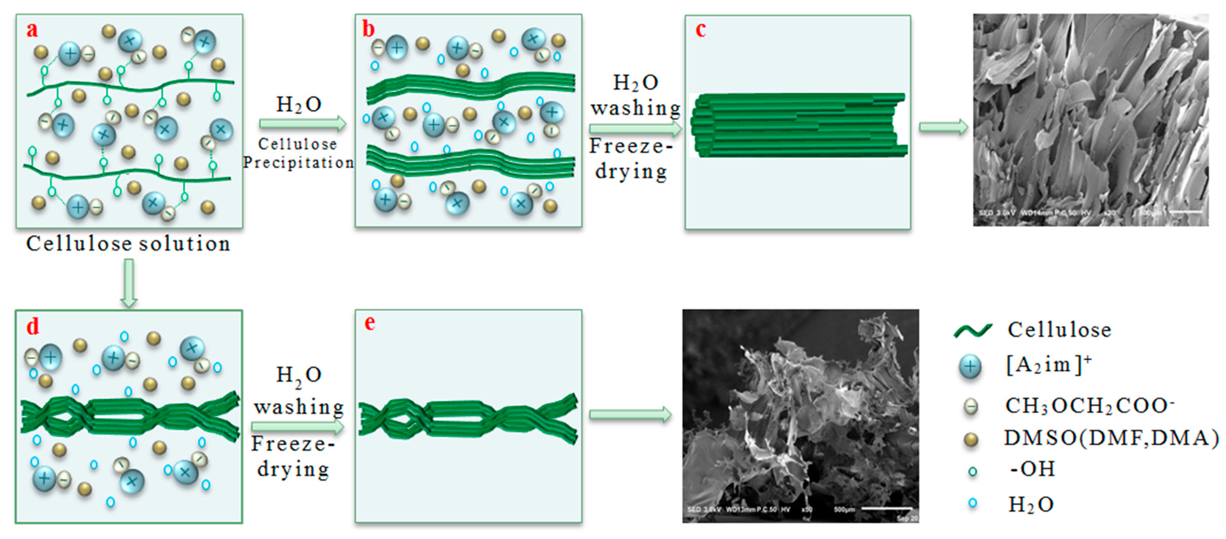 Polymers 11 00845 g004