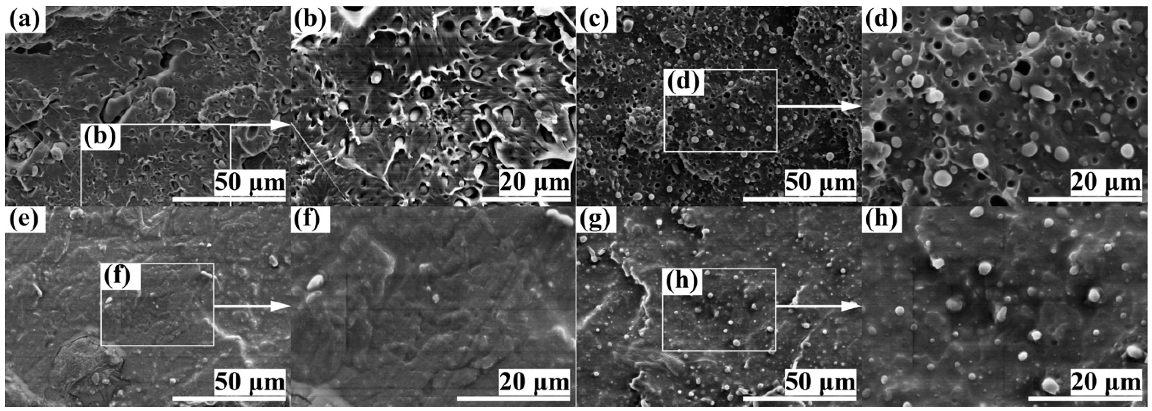 Polymers 11 00846 g001