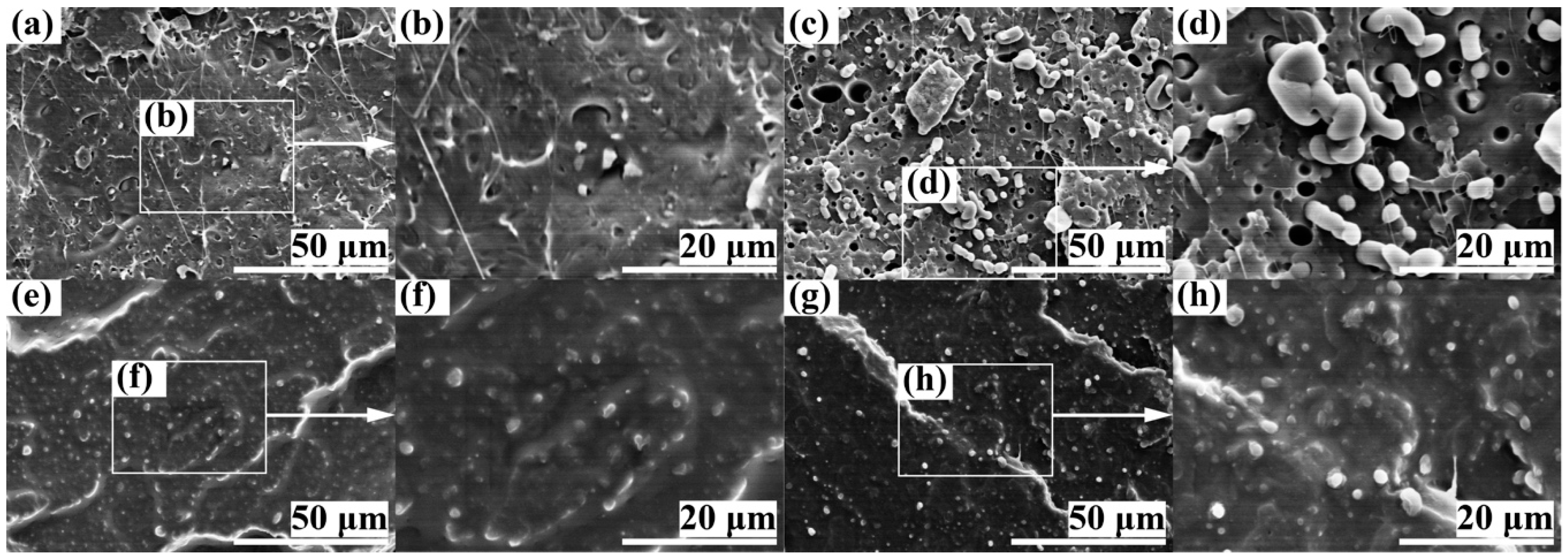 Polymers 11 00846 g002