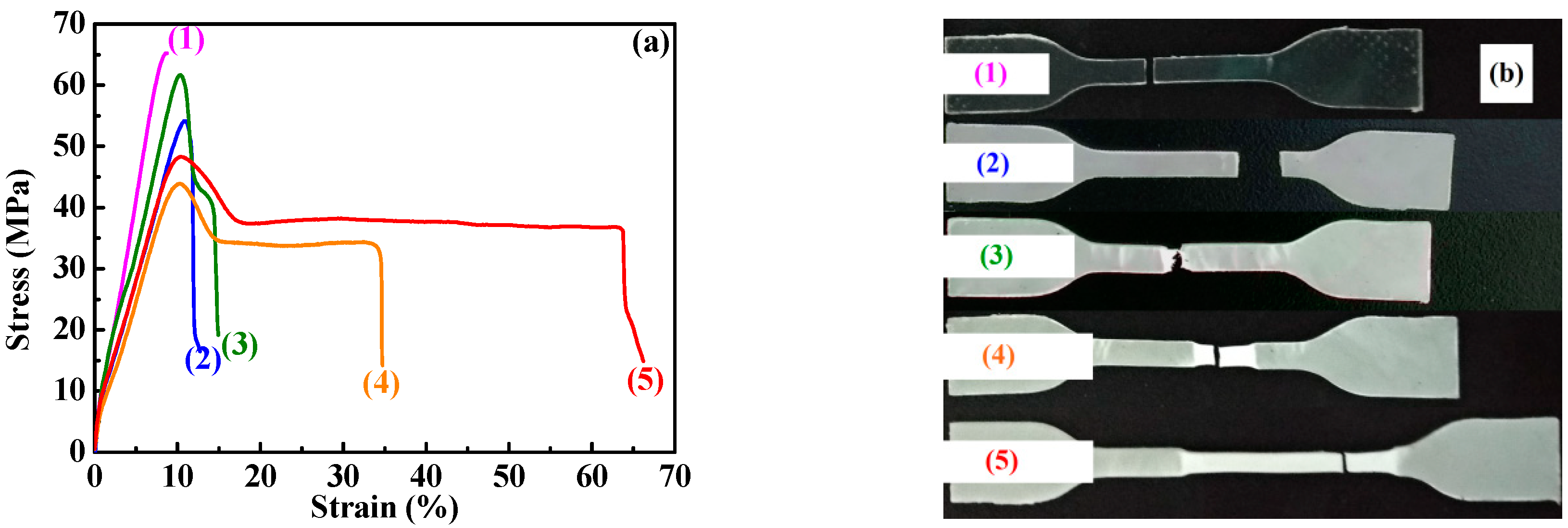 Polymers 11 00846 g006