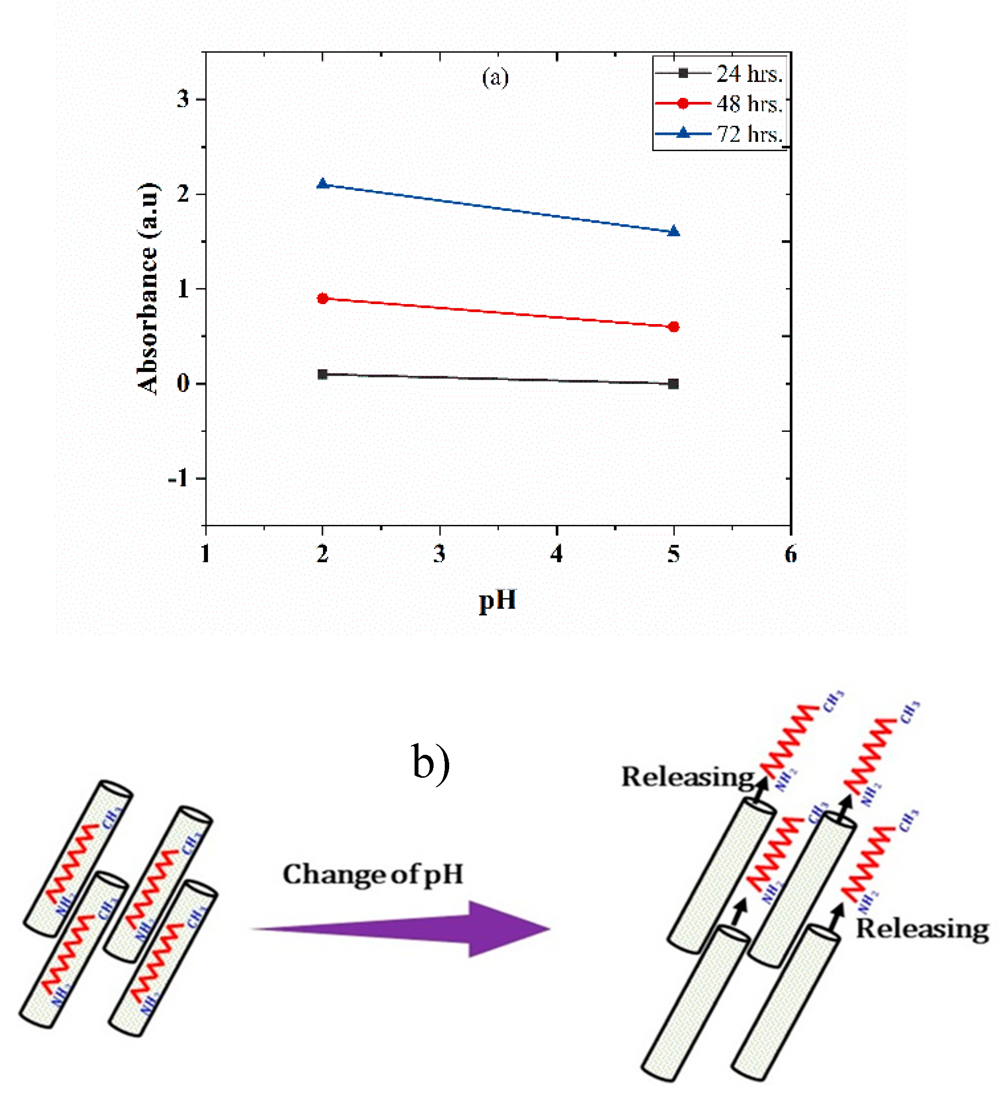 Polymers 11 00852 g006