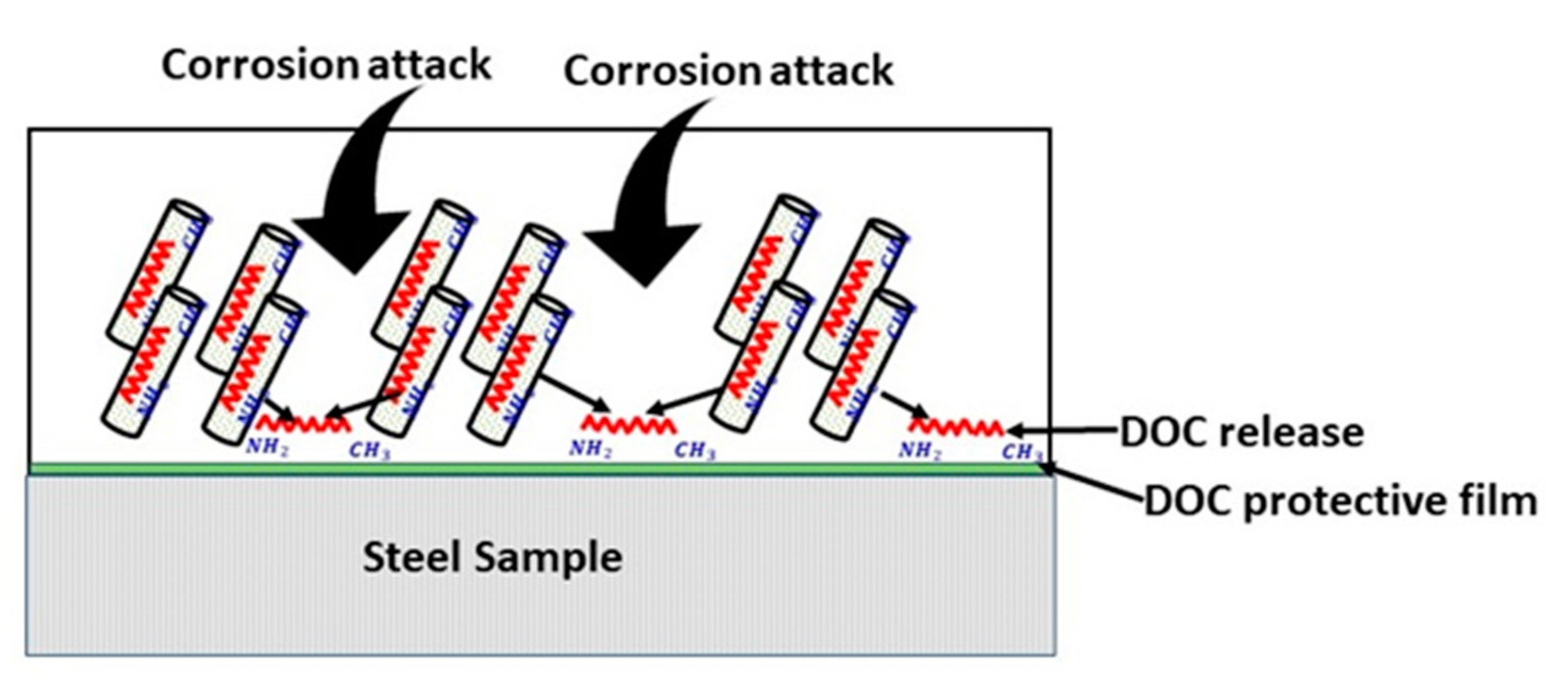 Polymers 11 00852 g009