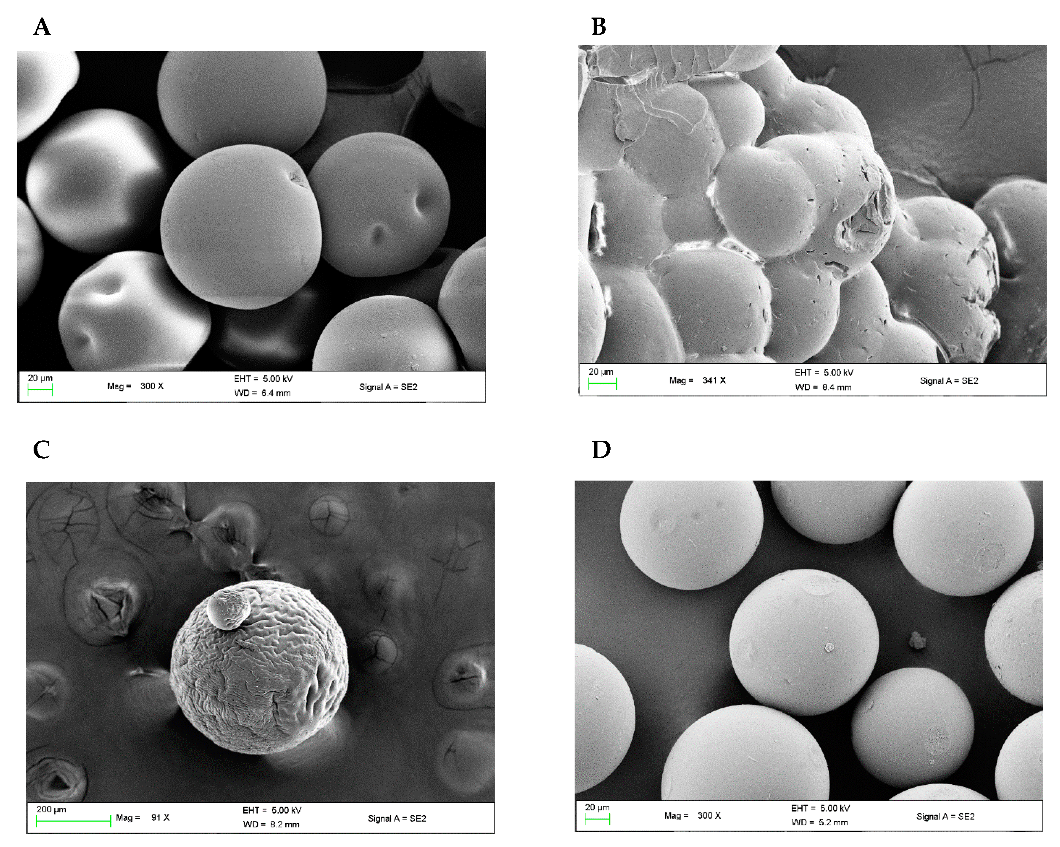 Polymers 11 00874 g003