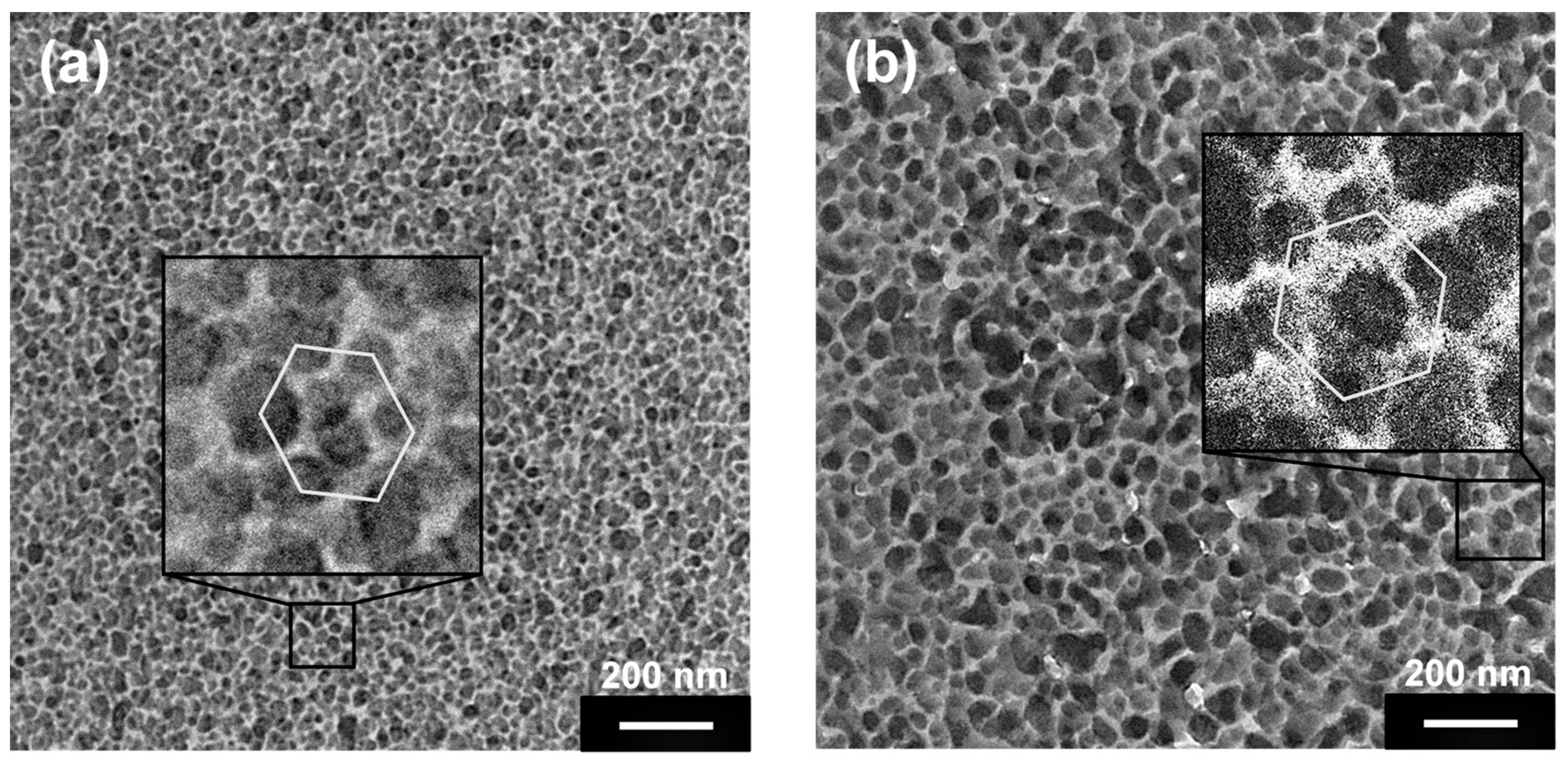 Polymers 11 00885 g006