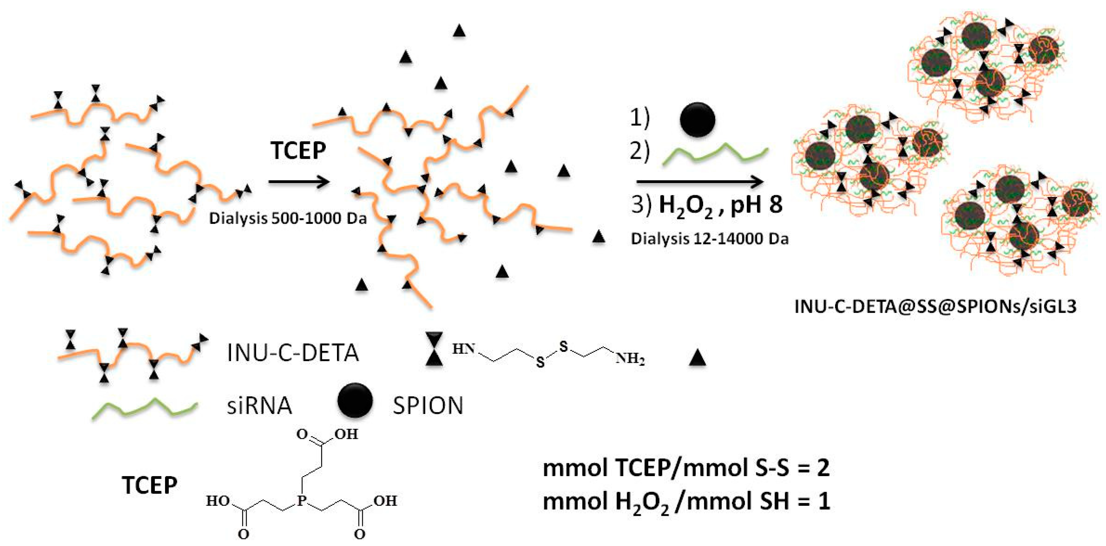 Polymers 11 00889 g004 Polymers 11 00889 g004