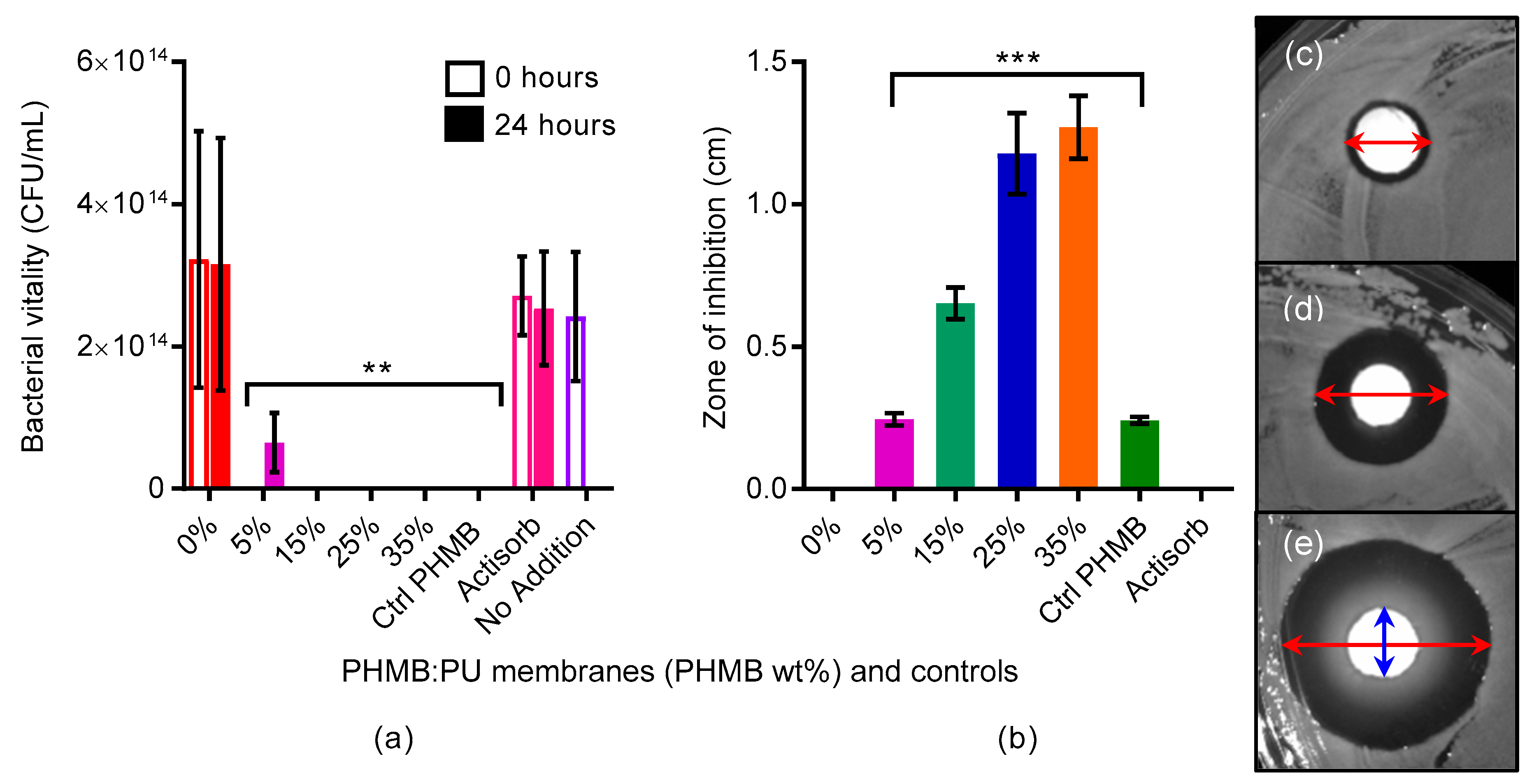Polymers 11 00915 g008