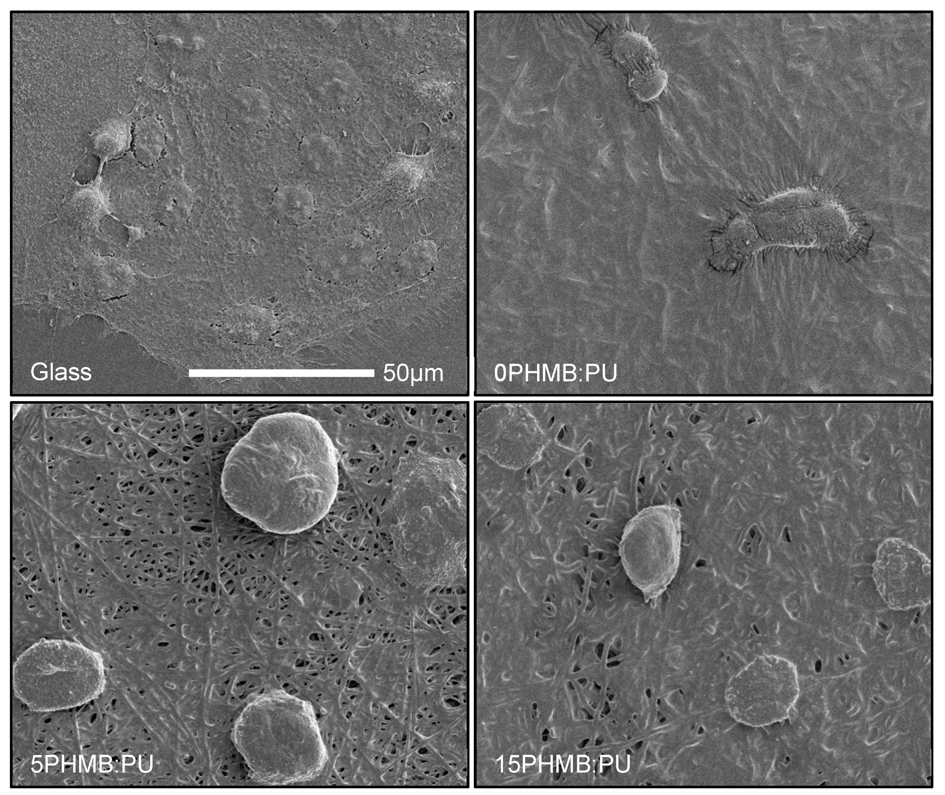 Polymers 11 00915 g011