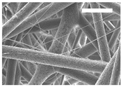 Polymers 11 00916 i002
