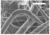 Polymers 11 00916 i005