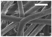 Polymers 11 00916 i008