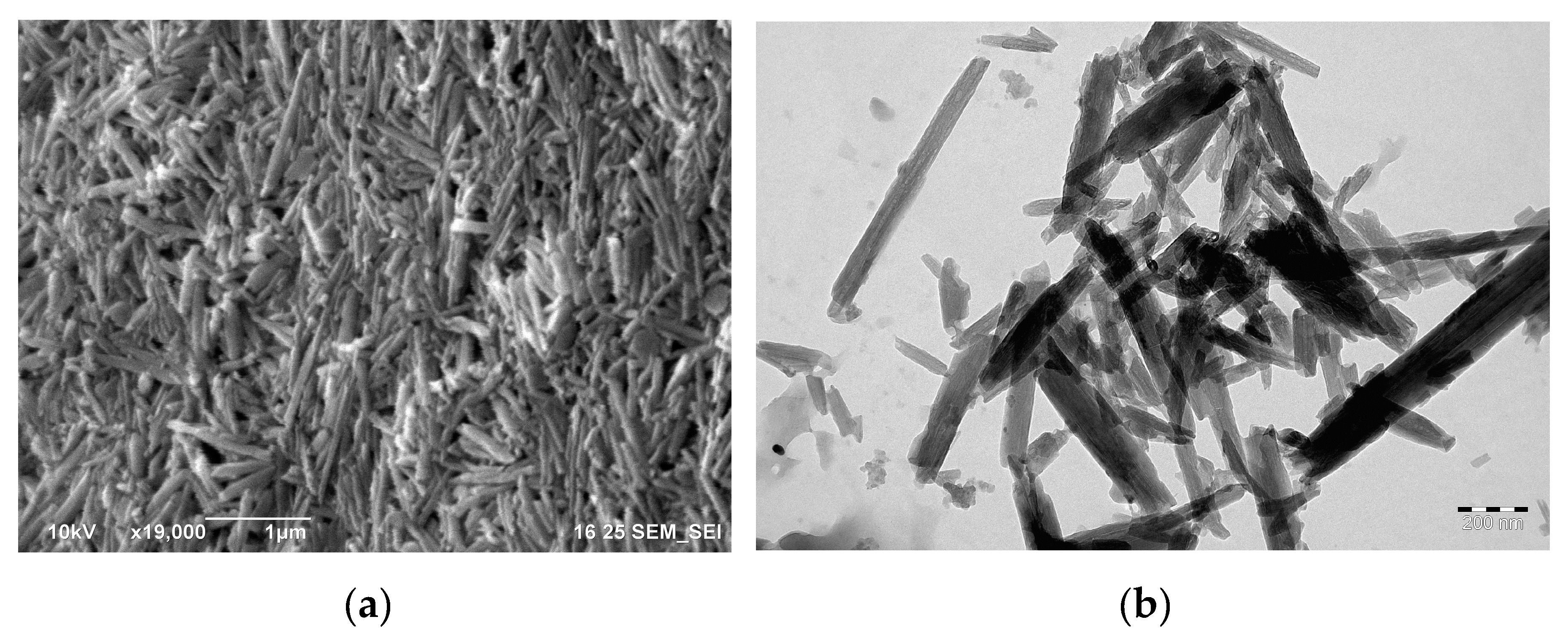 Polymers 11 00919 g003