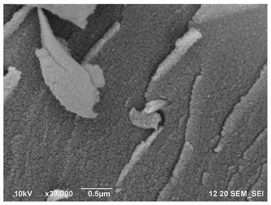 Polymers 11 00919 g0a4