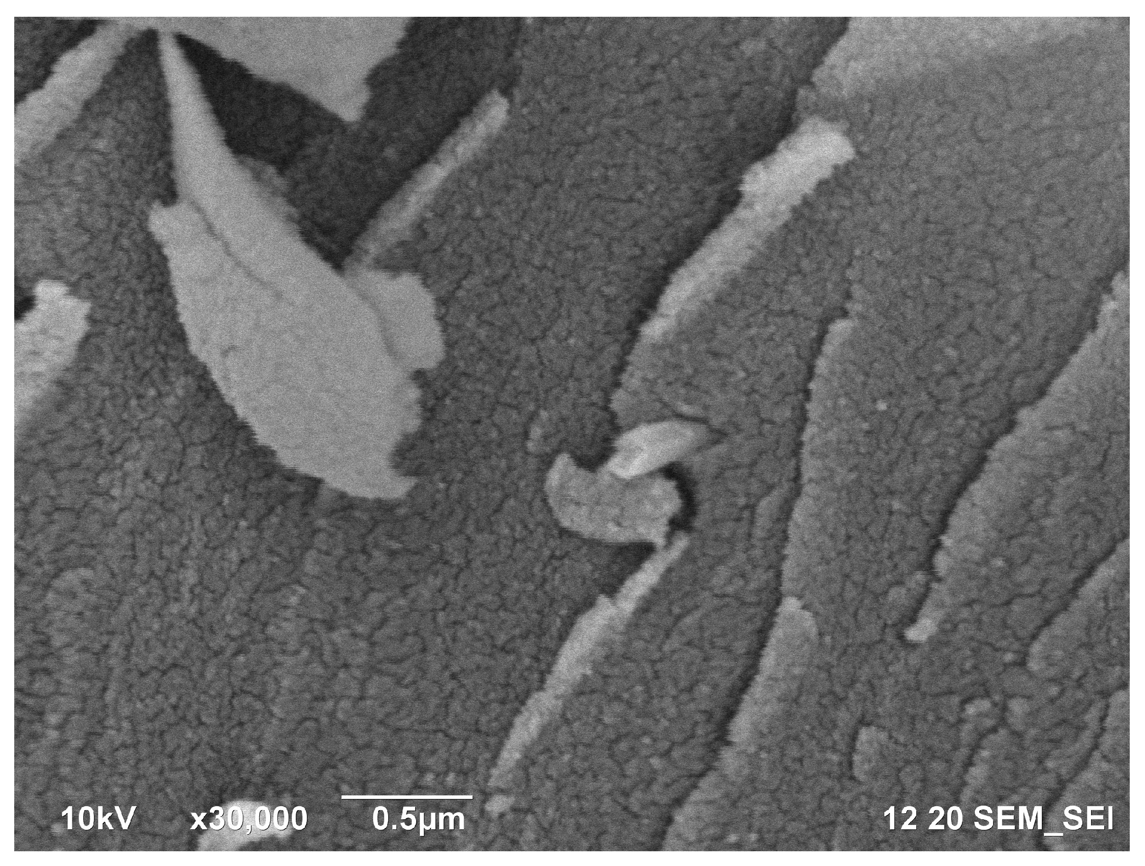 Polymers 11 00919 g0a4