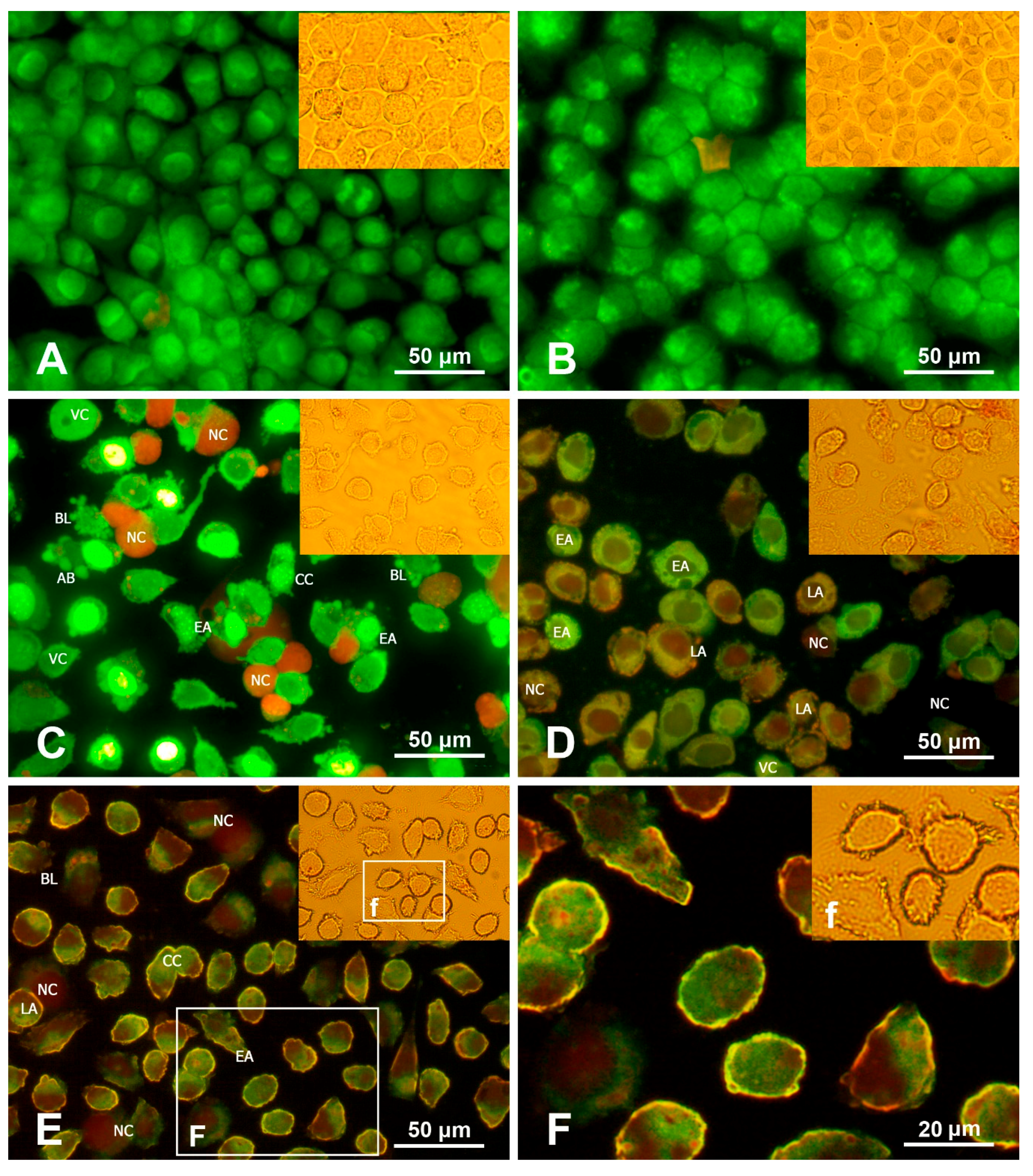 Polymers 11 00921 g006