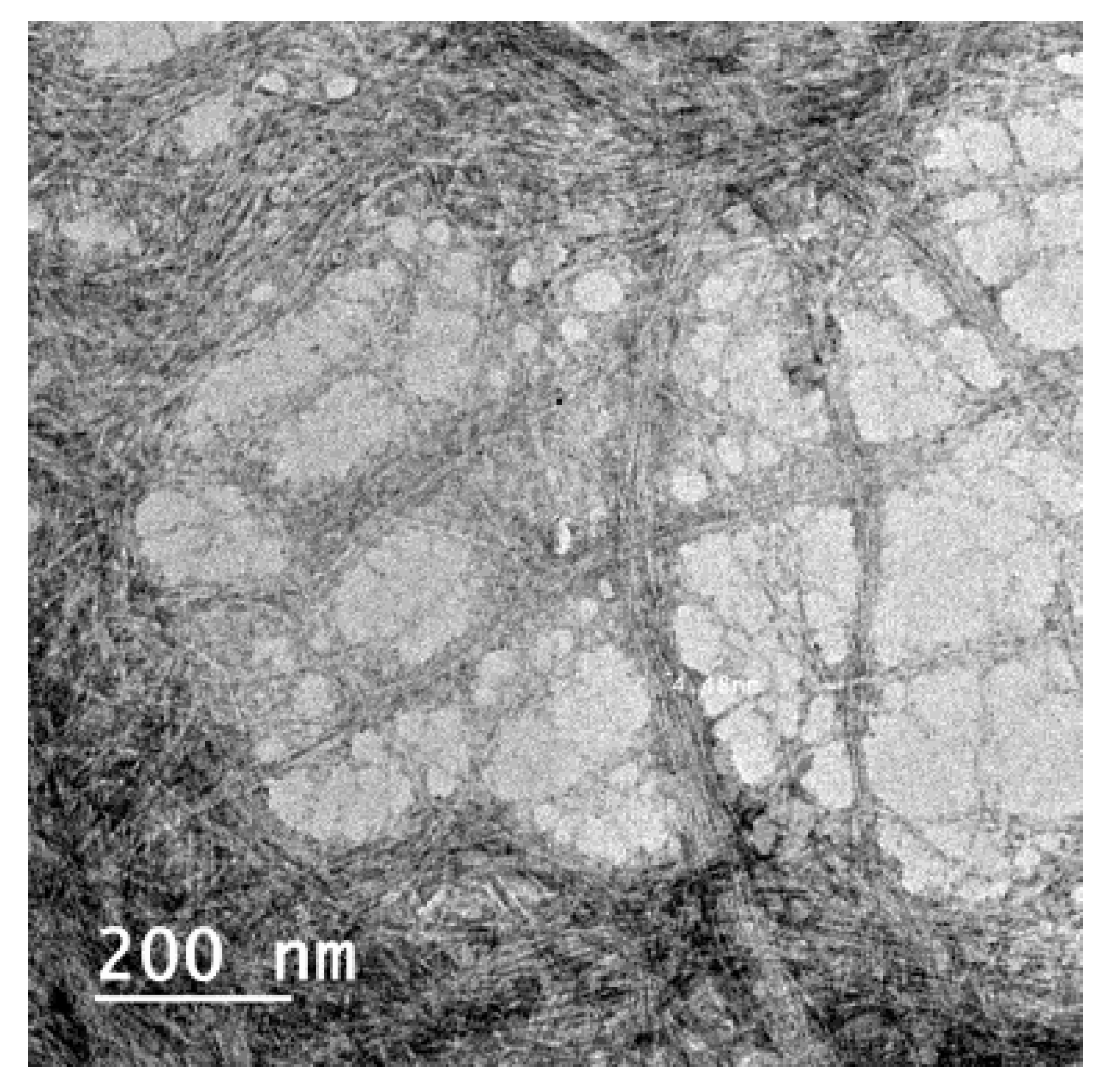 Polymers 11 00938 g001