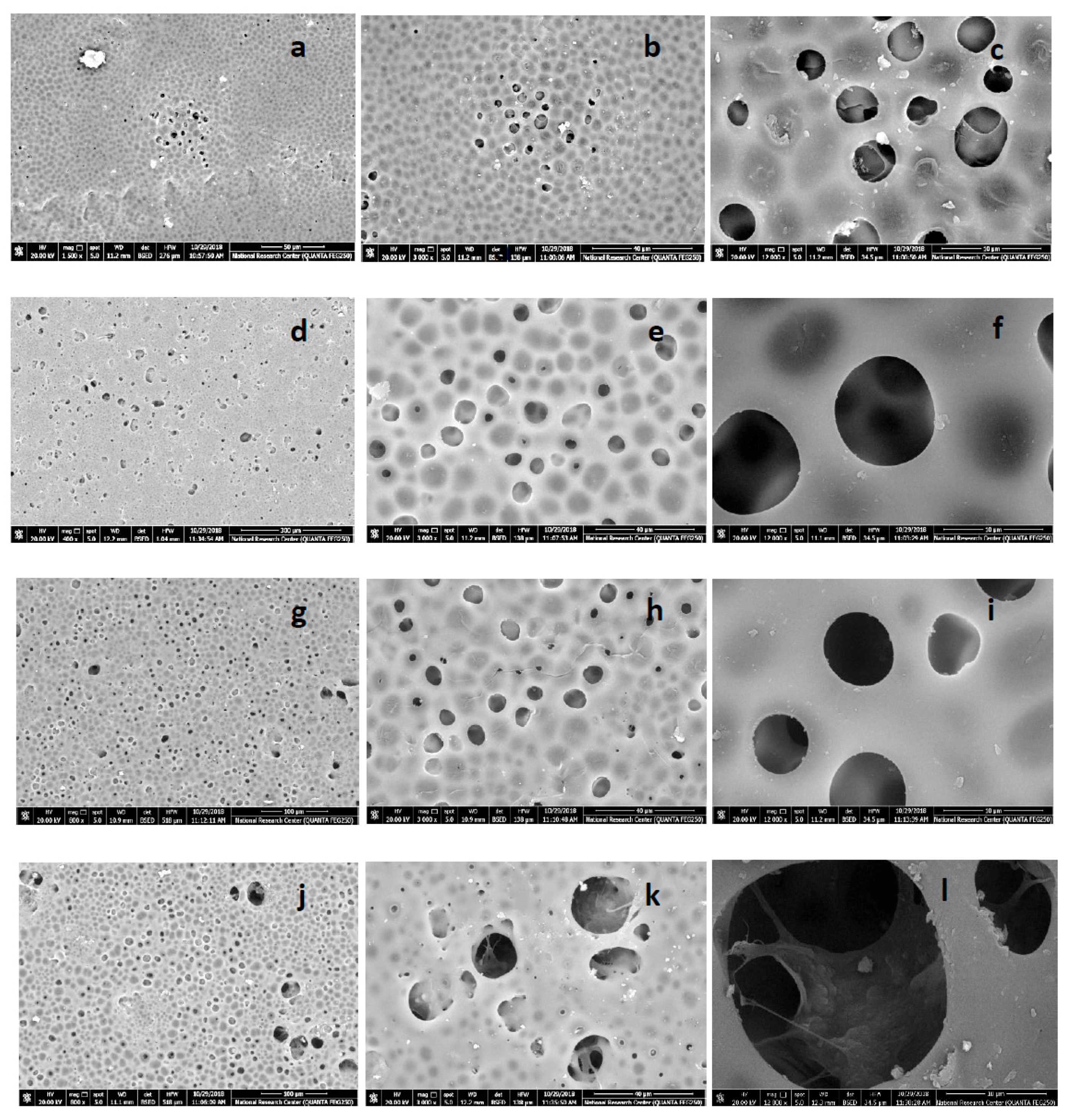 Polymers 11 00938 g003