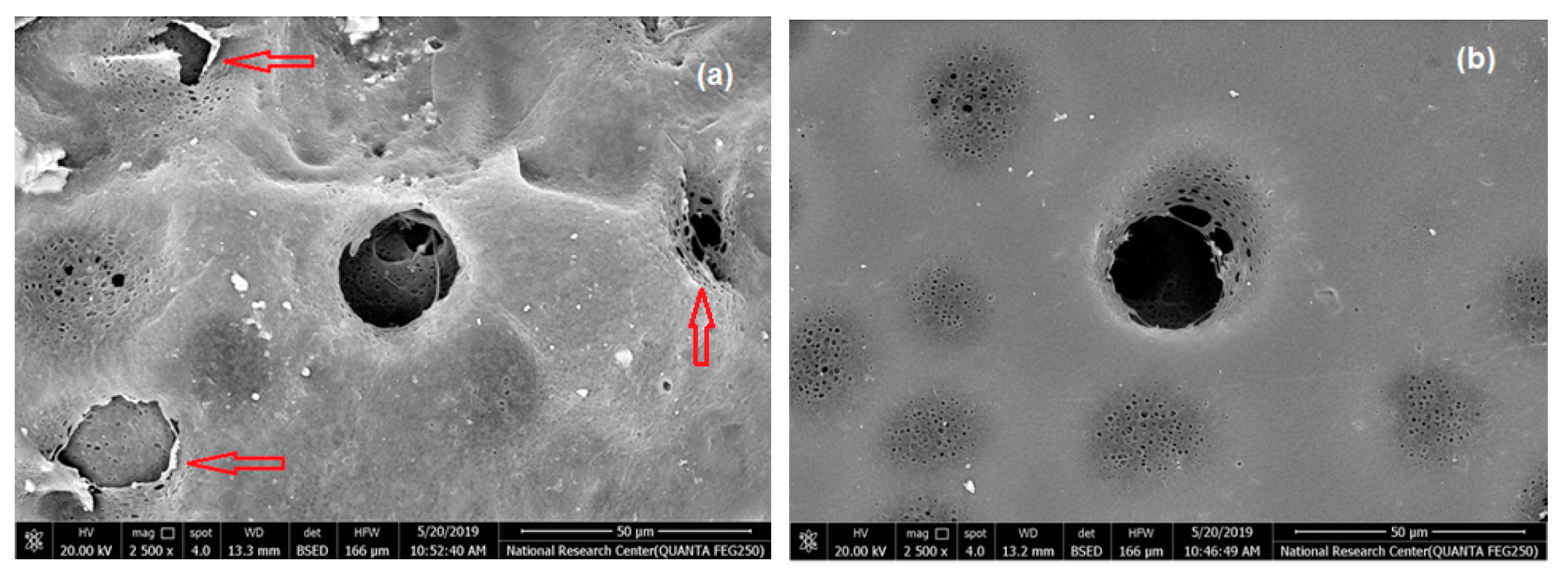 Polymers 11 00938 g005