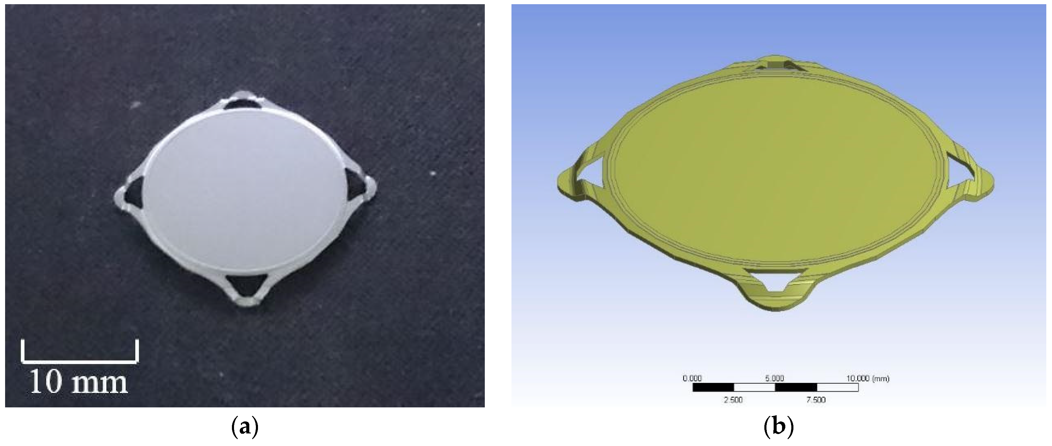 Polymers 11 00940 g005