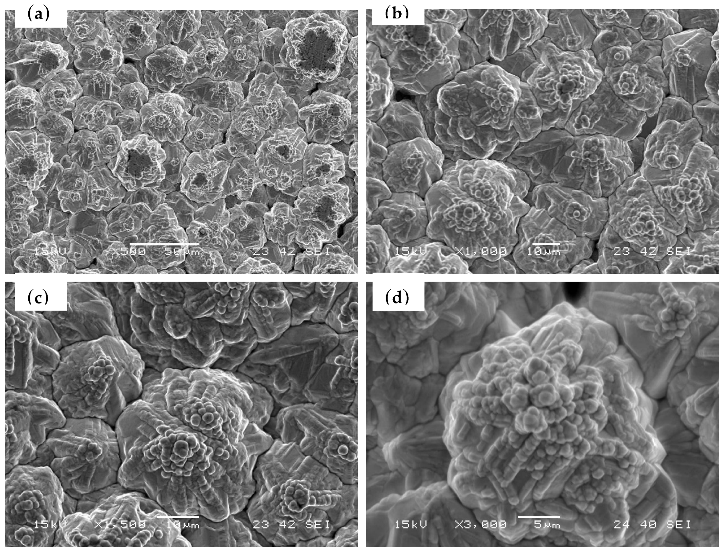 Polymers 11 00940 g012