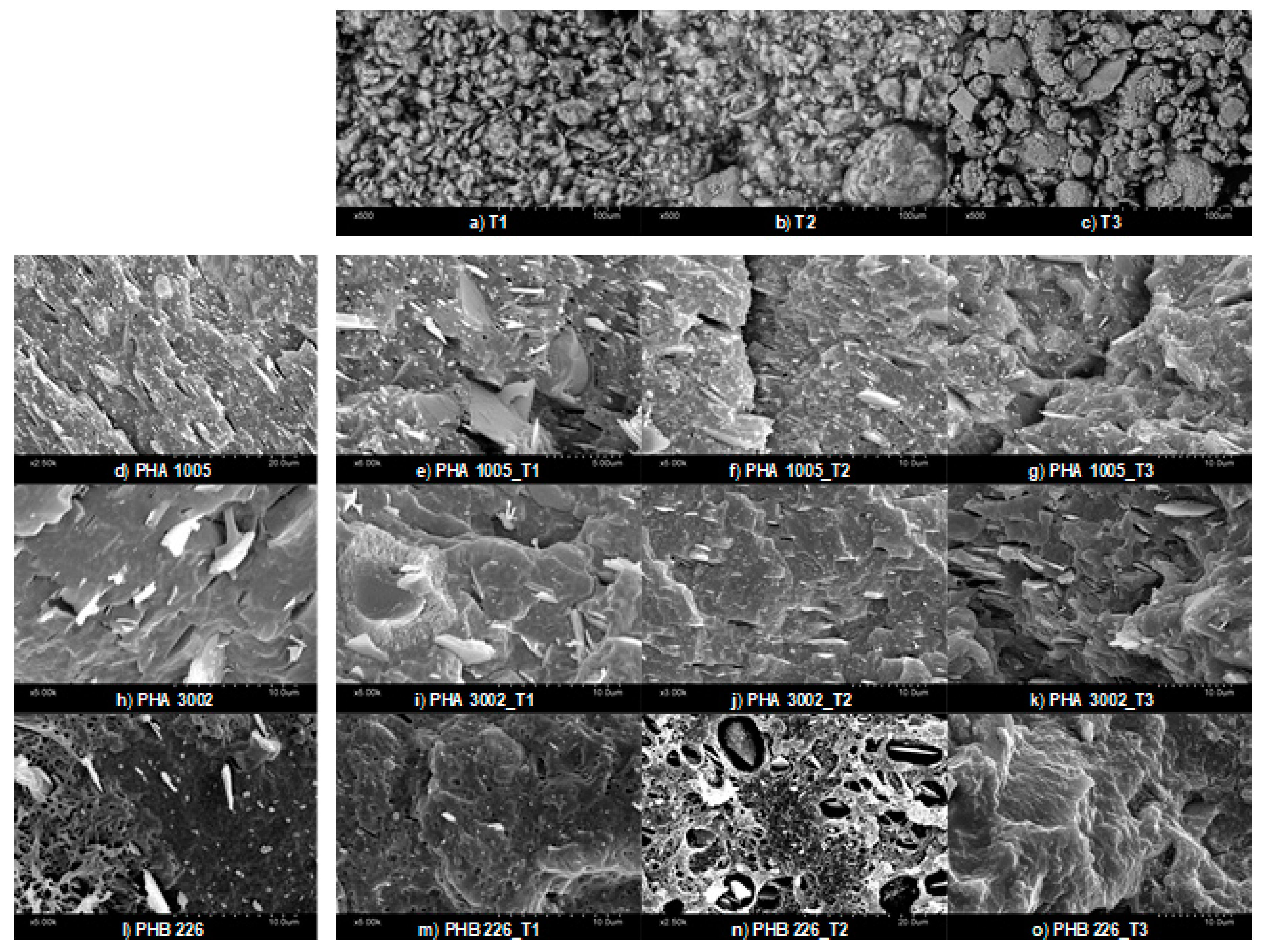 Polymers 11 00945 g001