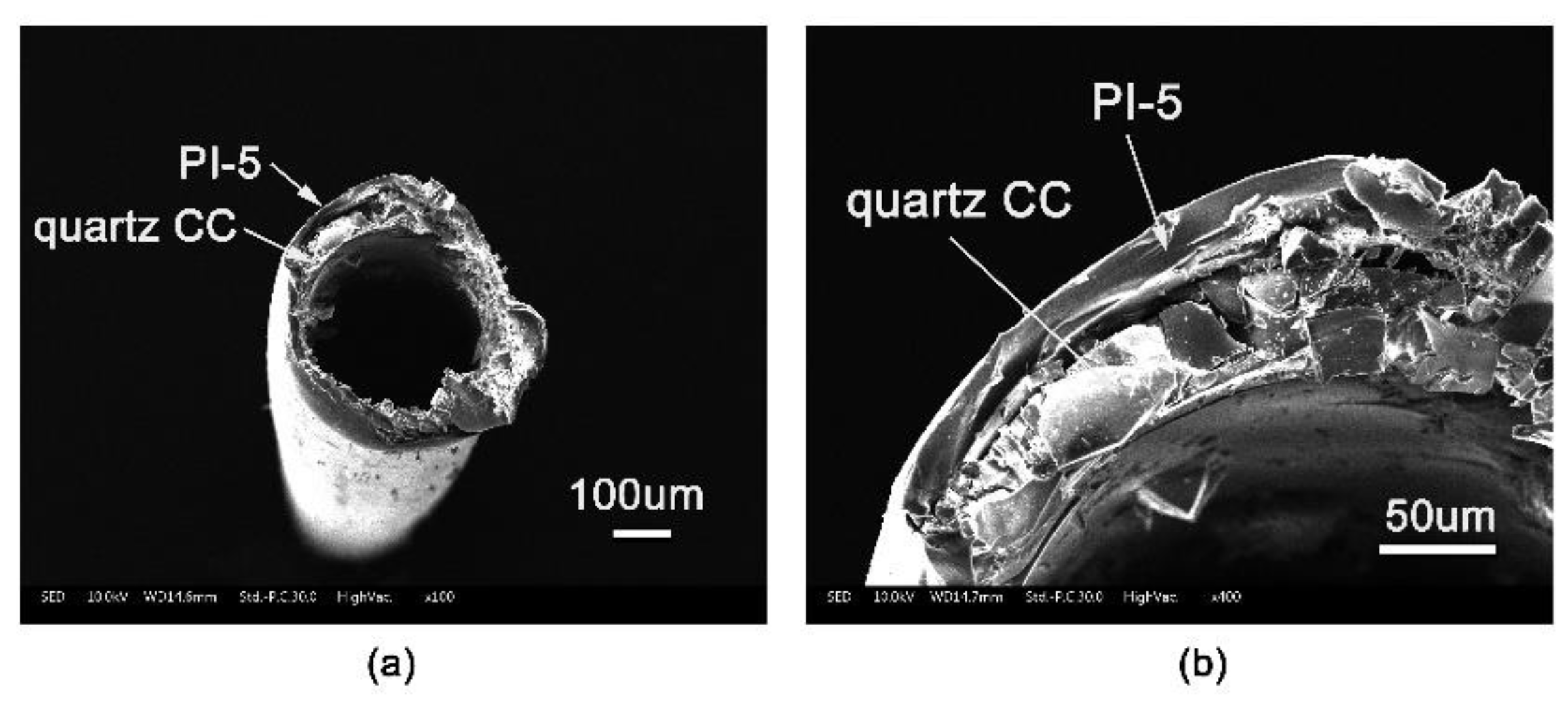 Polymers 11 00946 g005