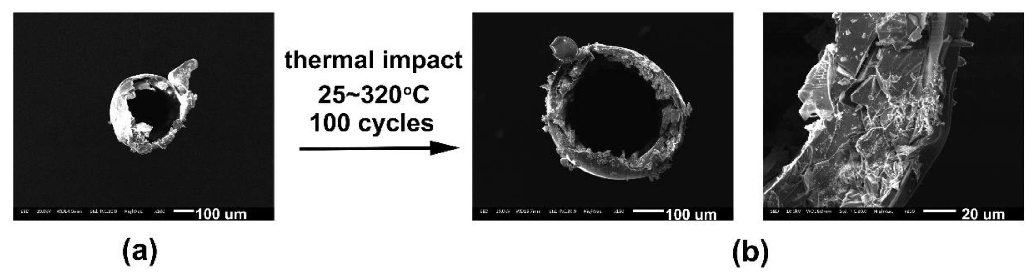Polymers 11 00946 g009
