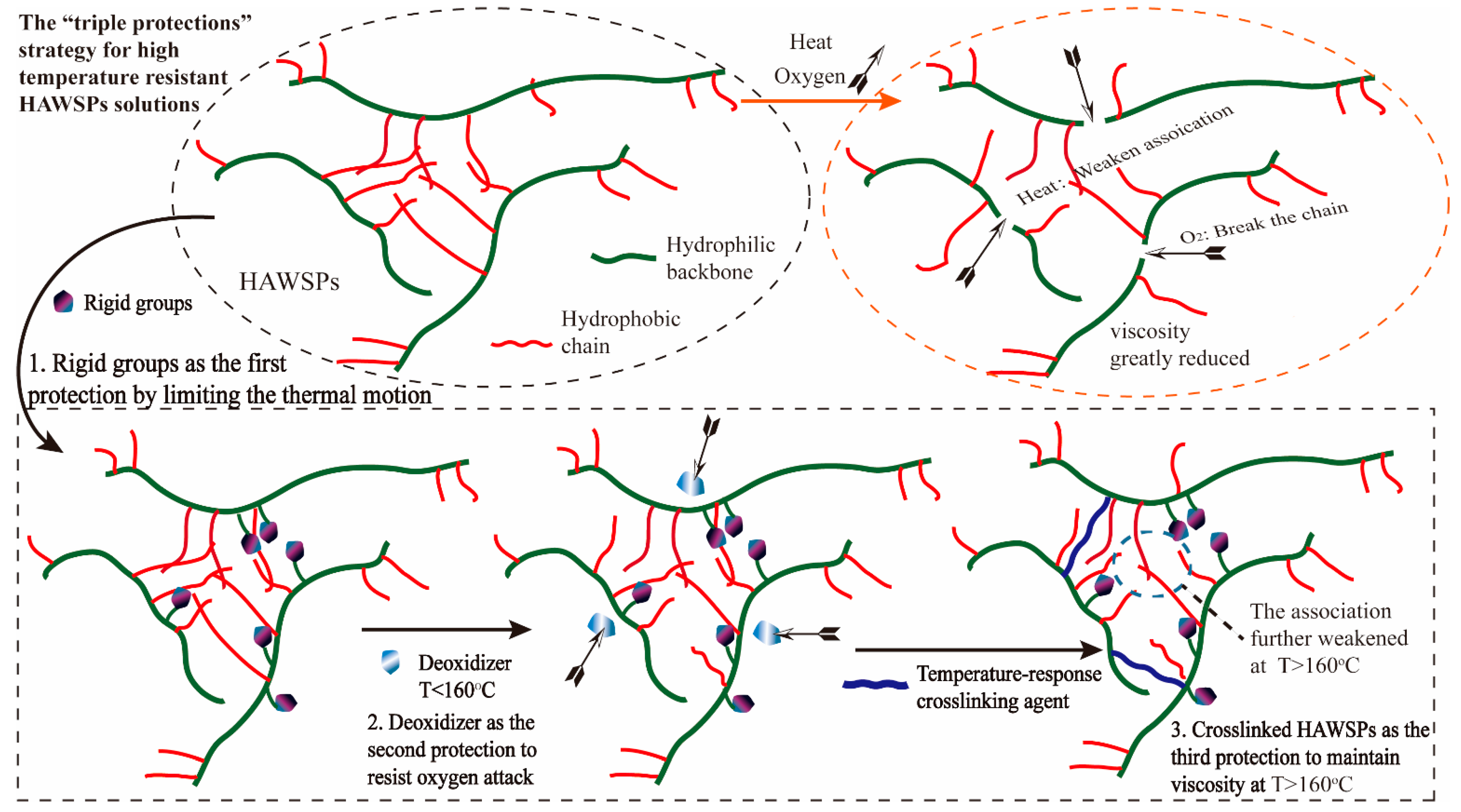 Polymers 11 00949 g001